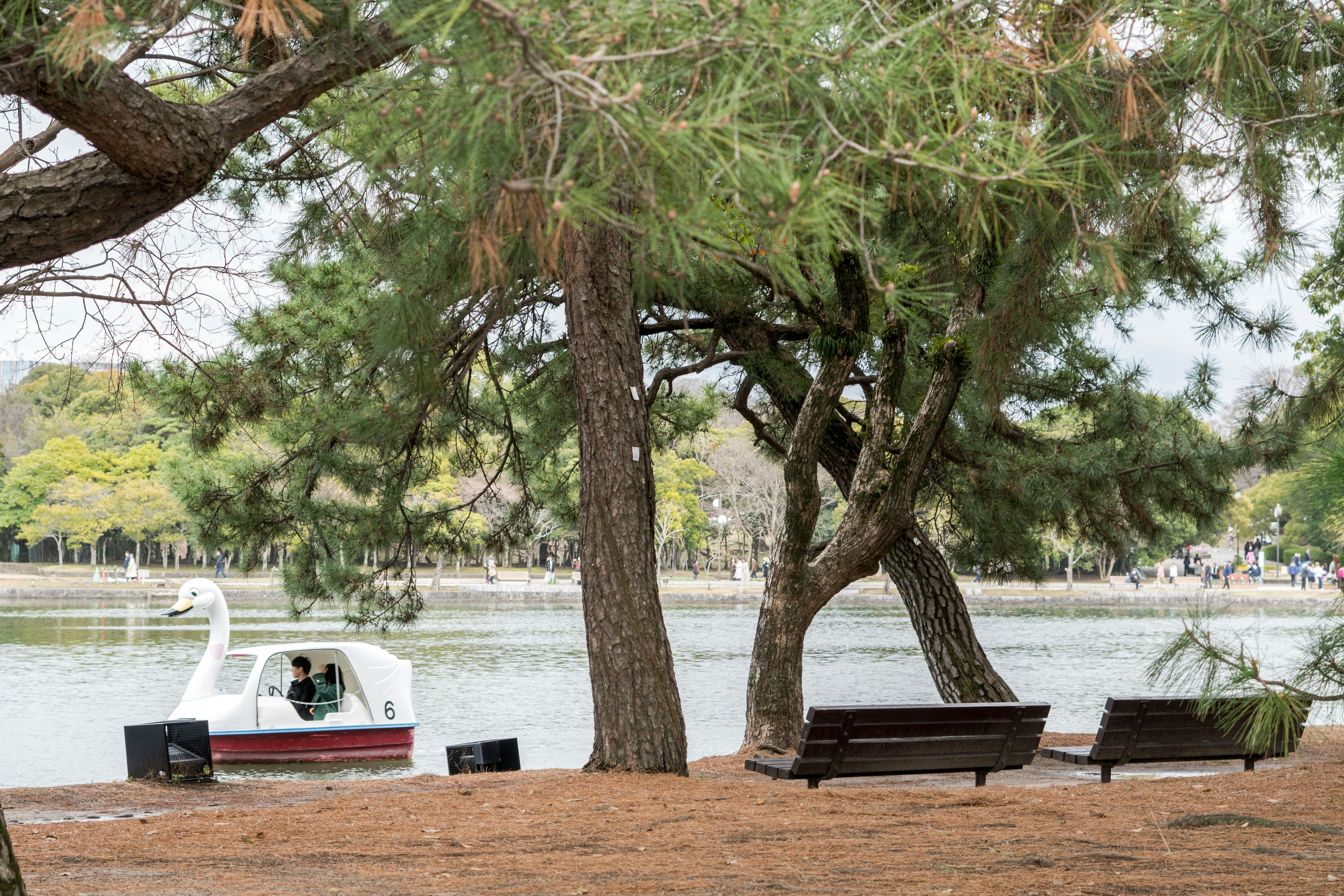 A park bench sitting next to a body of water photo – Free Green Image ...