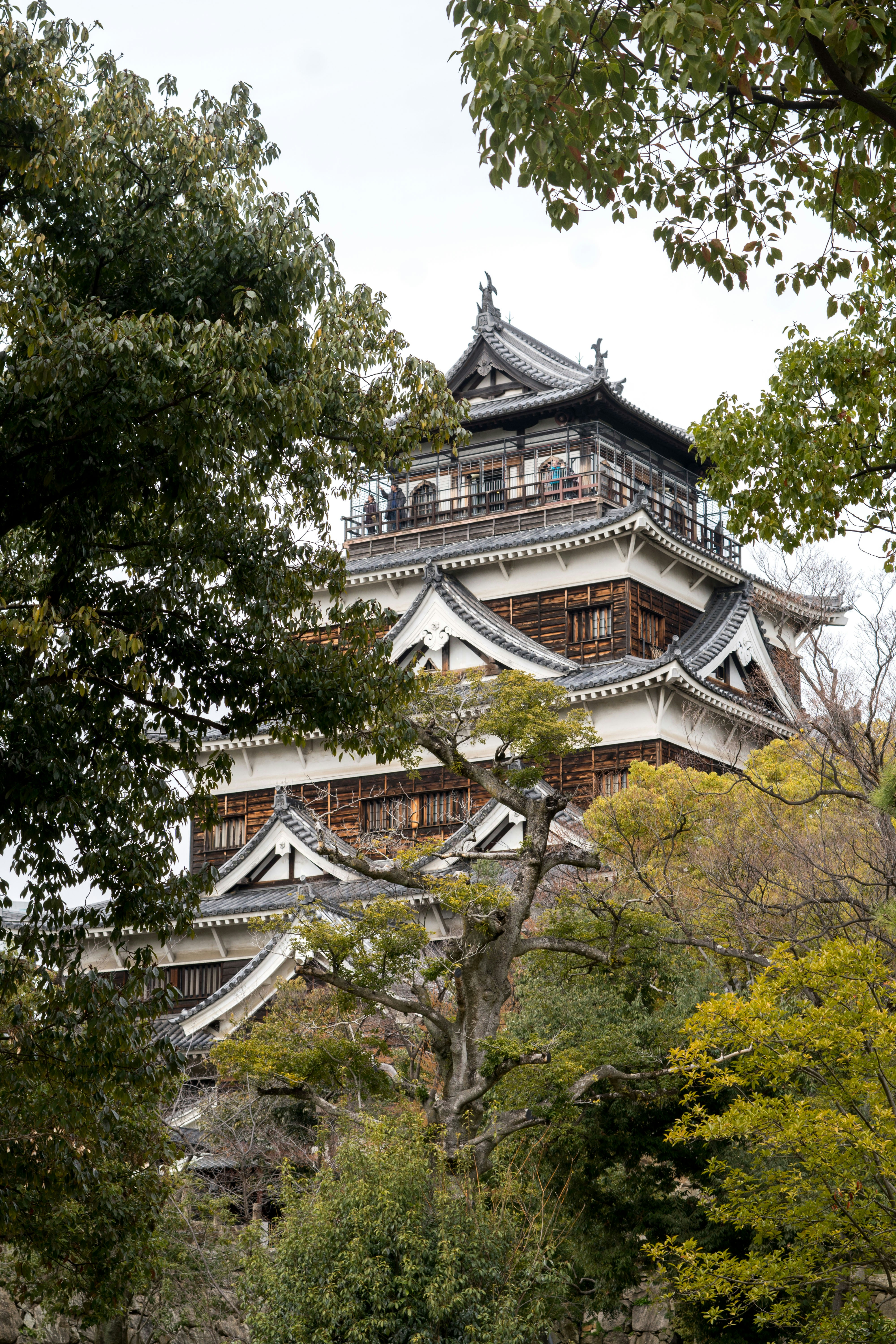 Photo by antonioaaaraujo