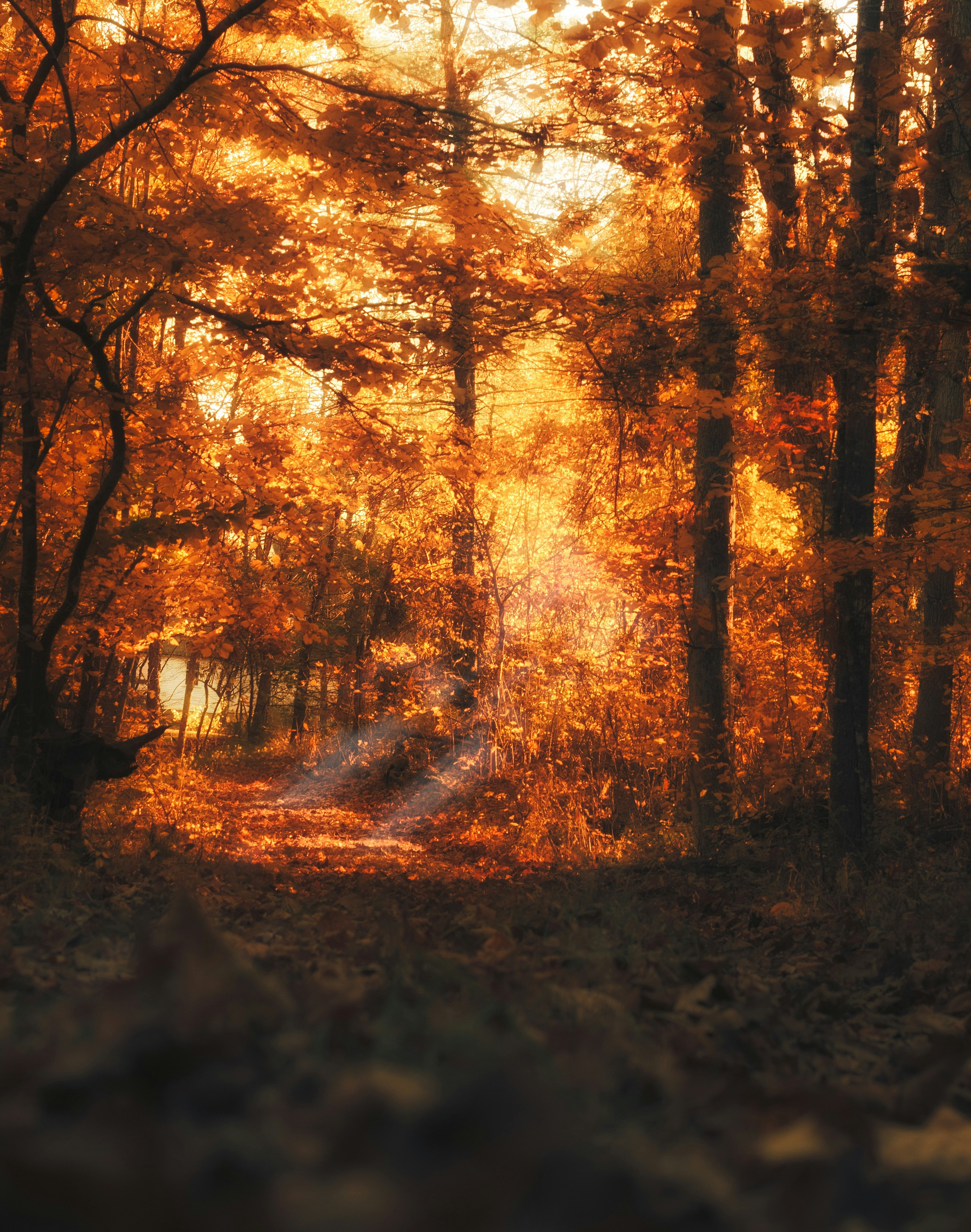 Photo by nh_landscapes