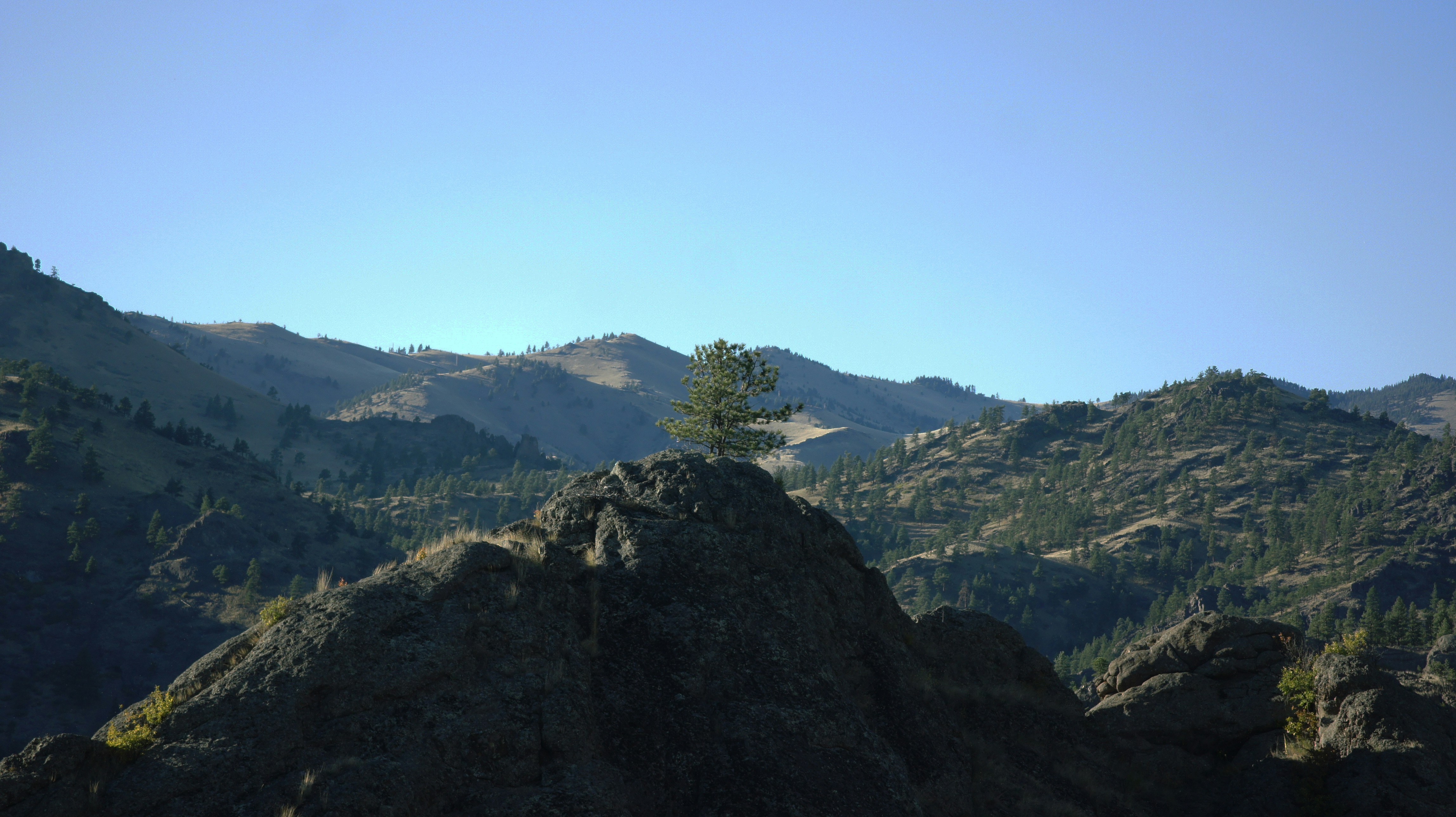 A mountain range with a lone tree in the foreground