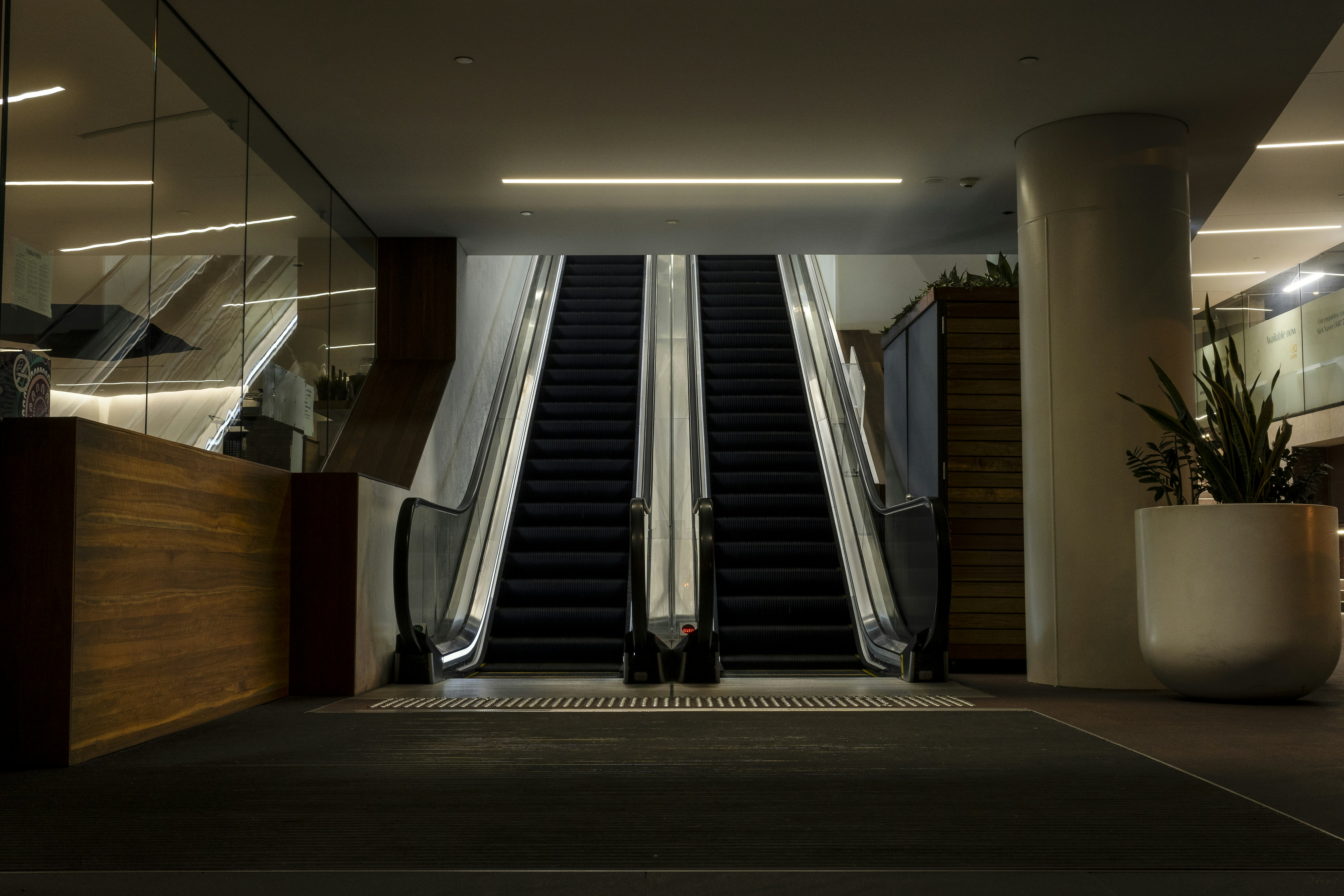 An escalator in an office building with a plant in the foreground