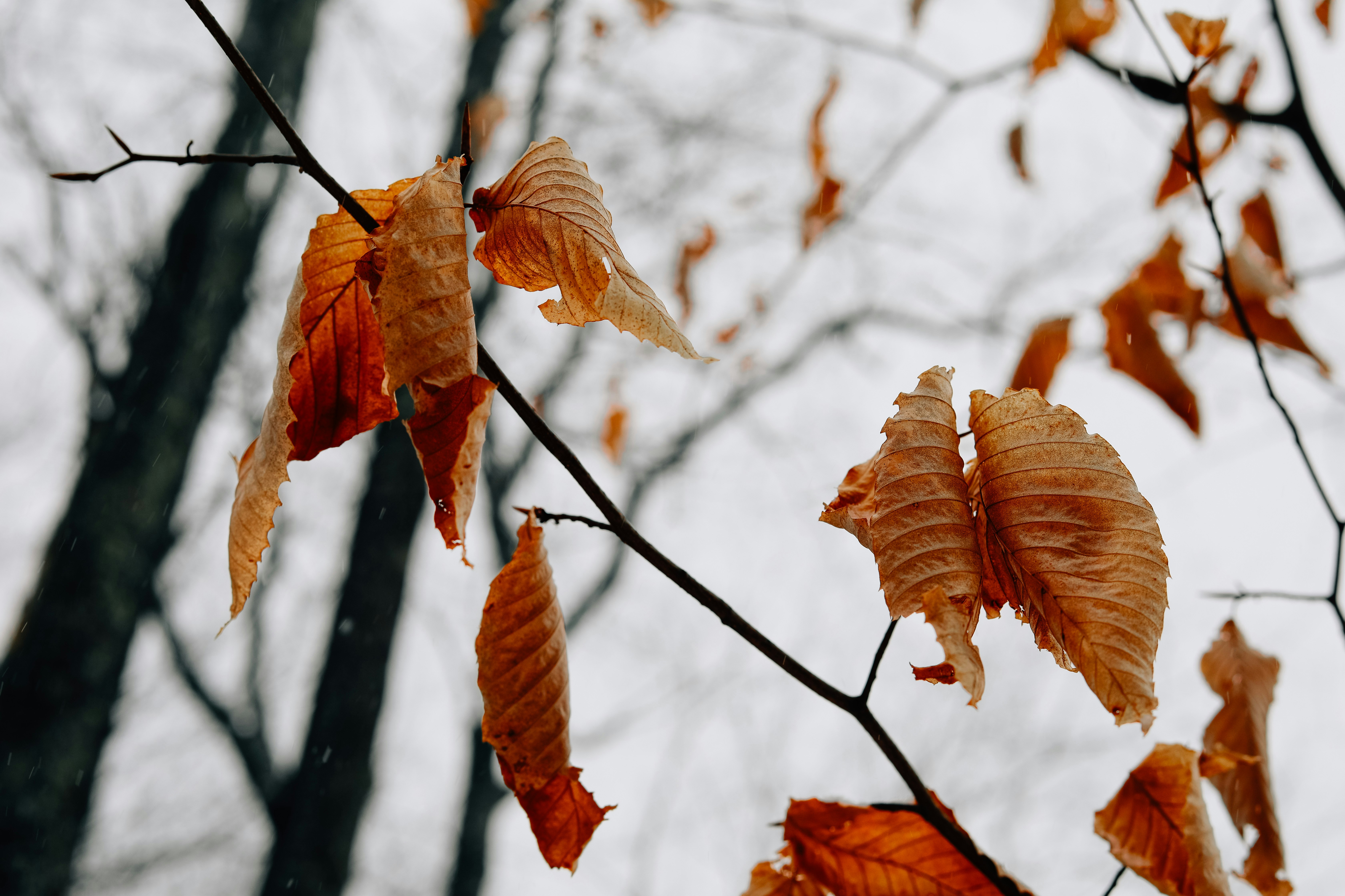 Photo by agirlwithgrit