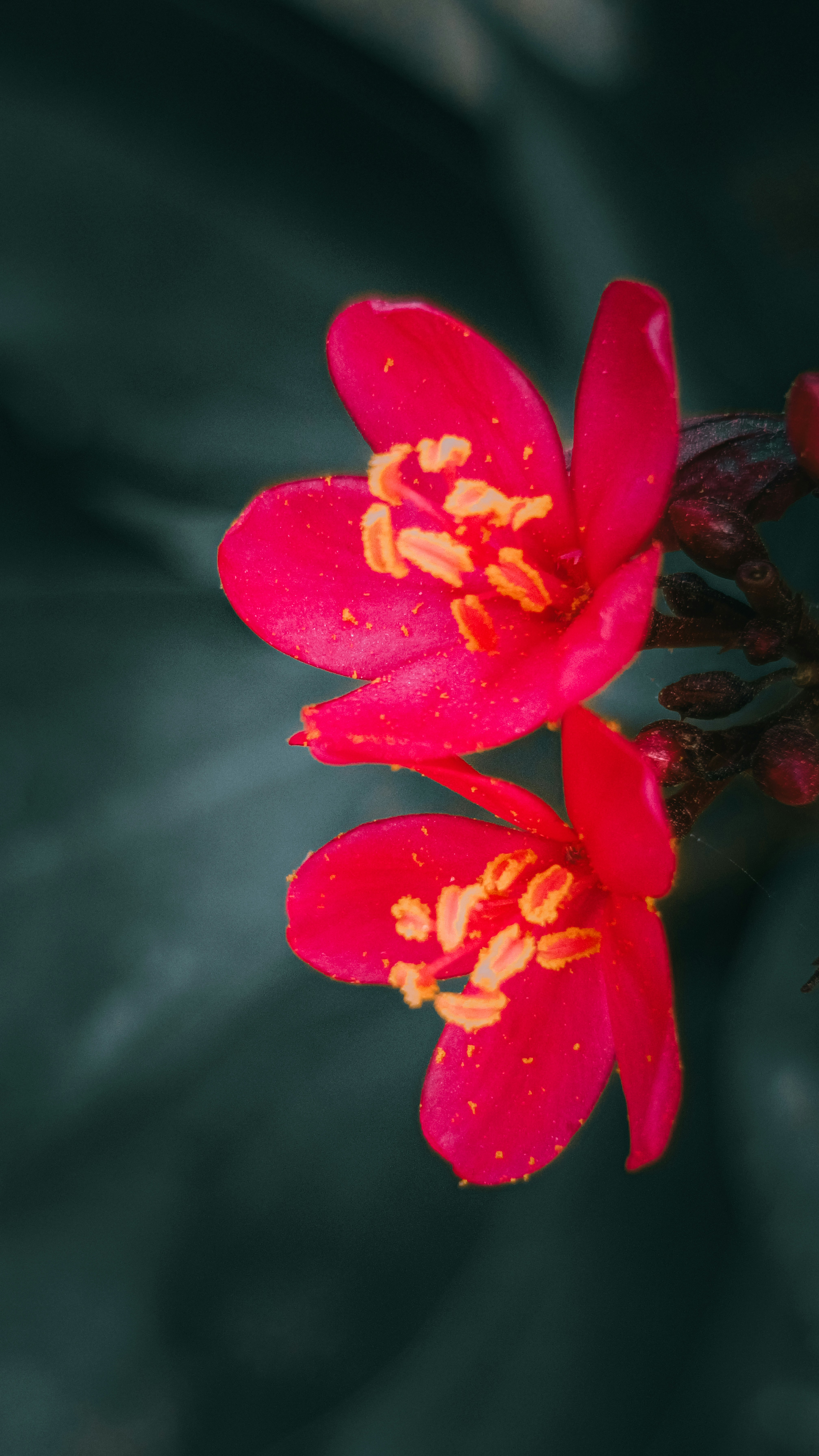 Photo by fukw0314_88