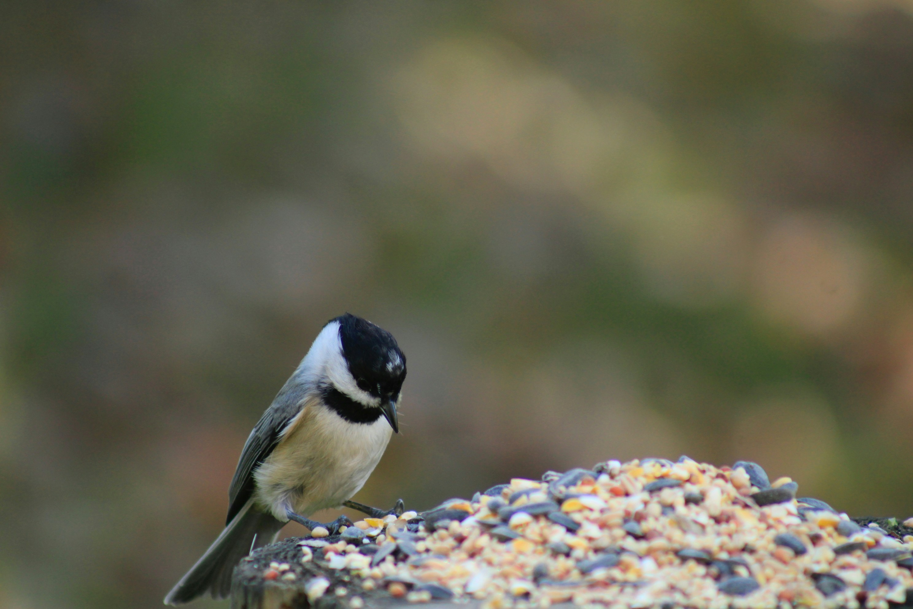 Photo by lisa_duqlaw