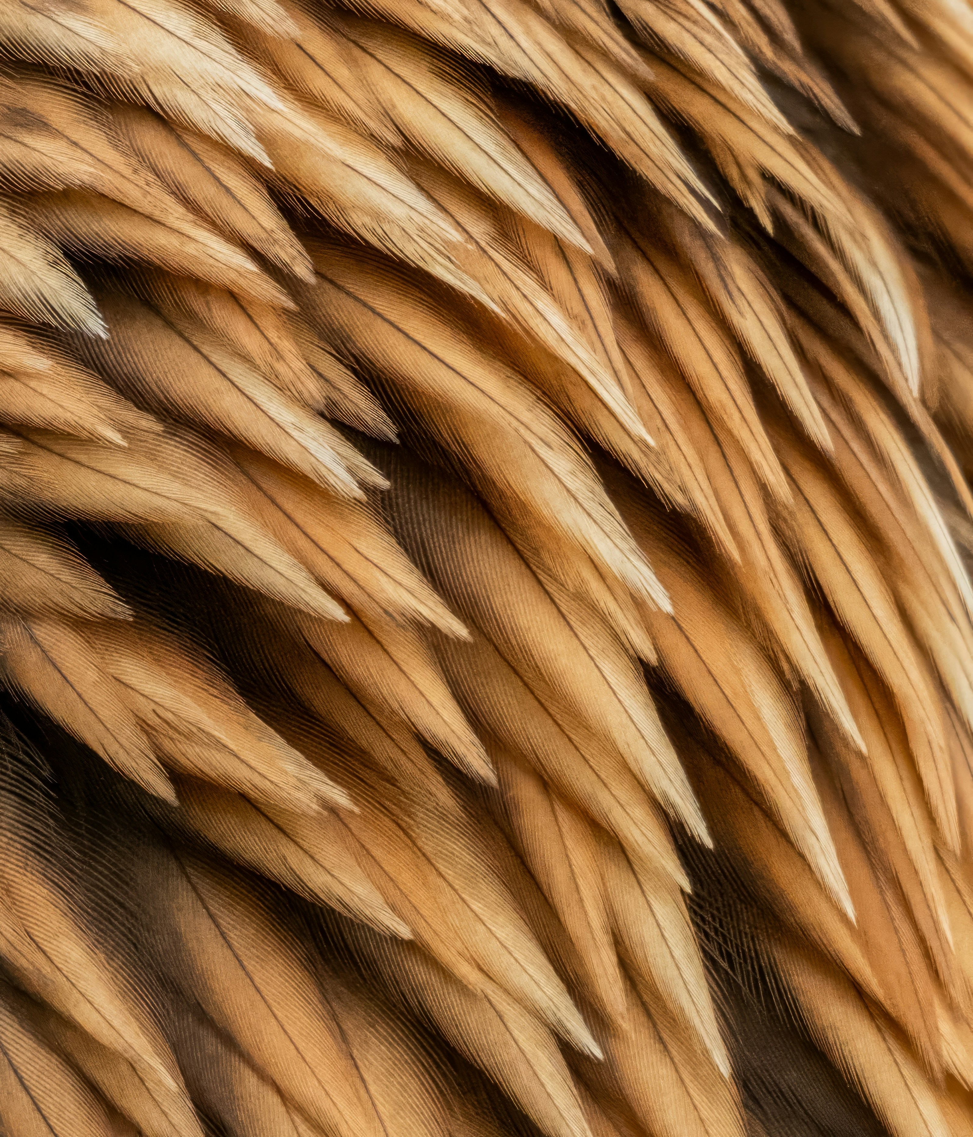 Photo by alexandredaoust