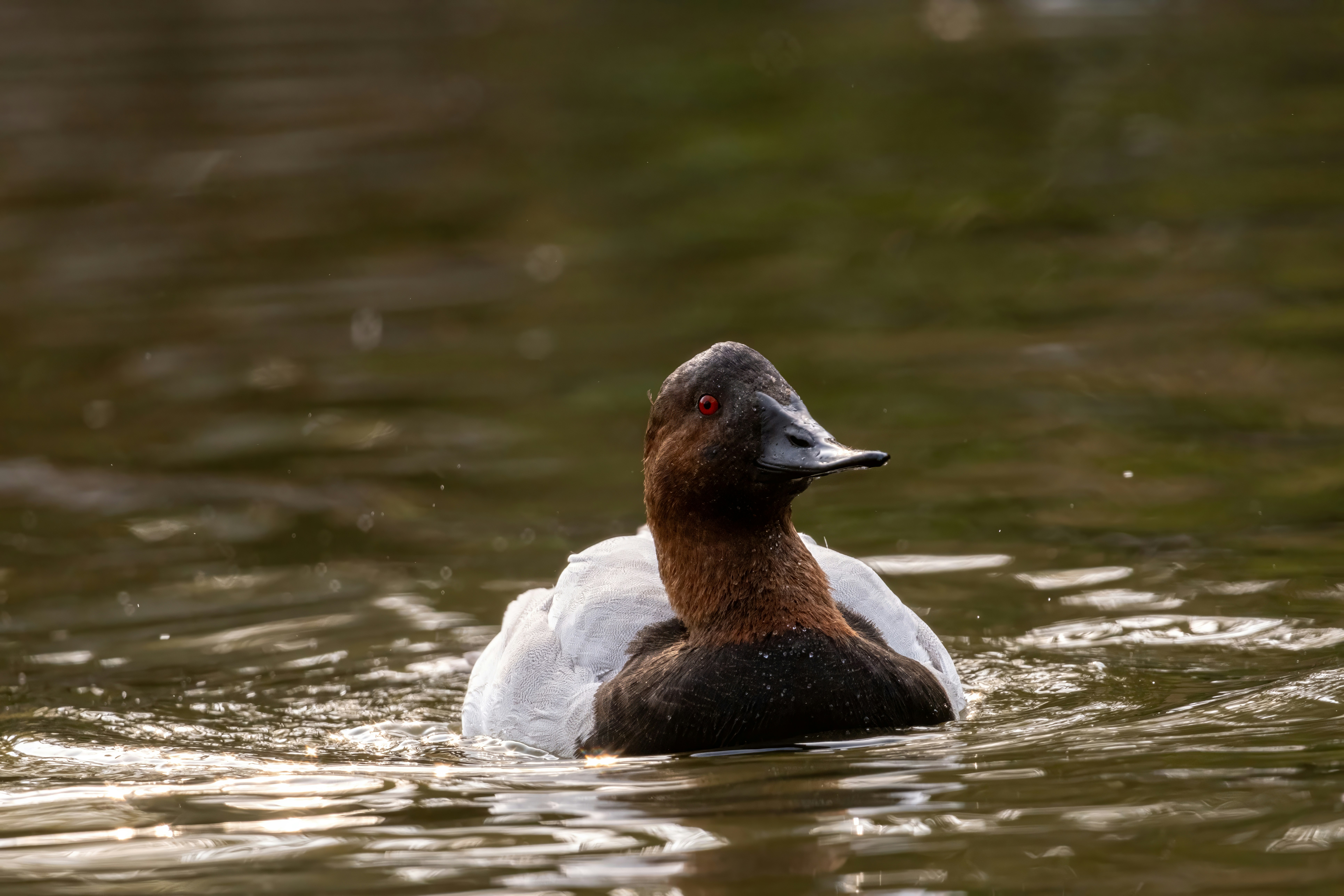 Photo by alexandredaoust