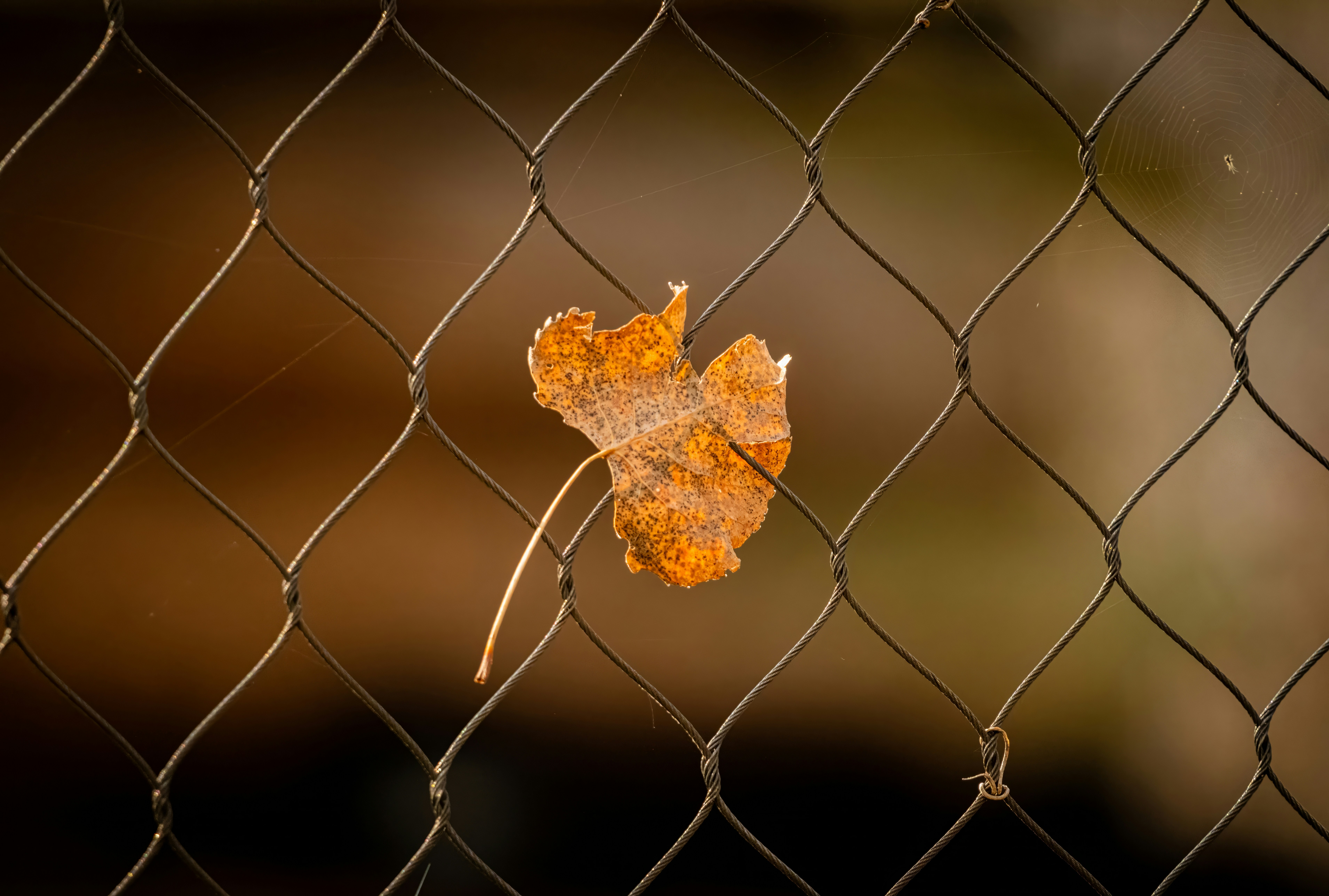 Photo by alexandredaoust