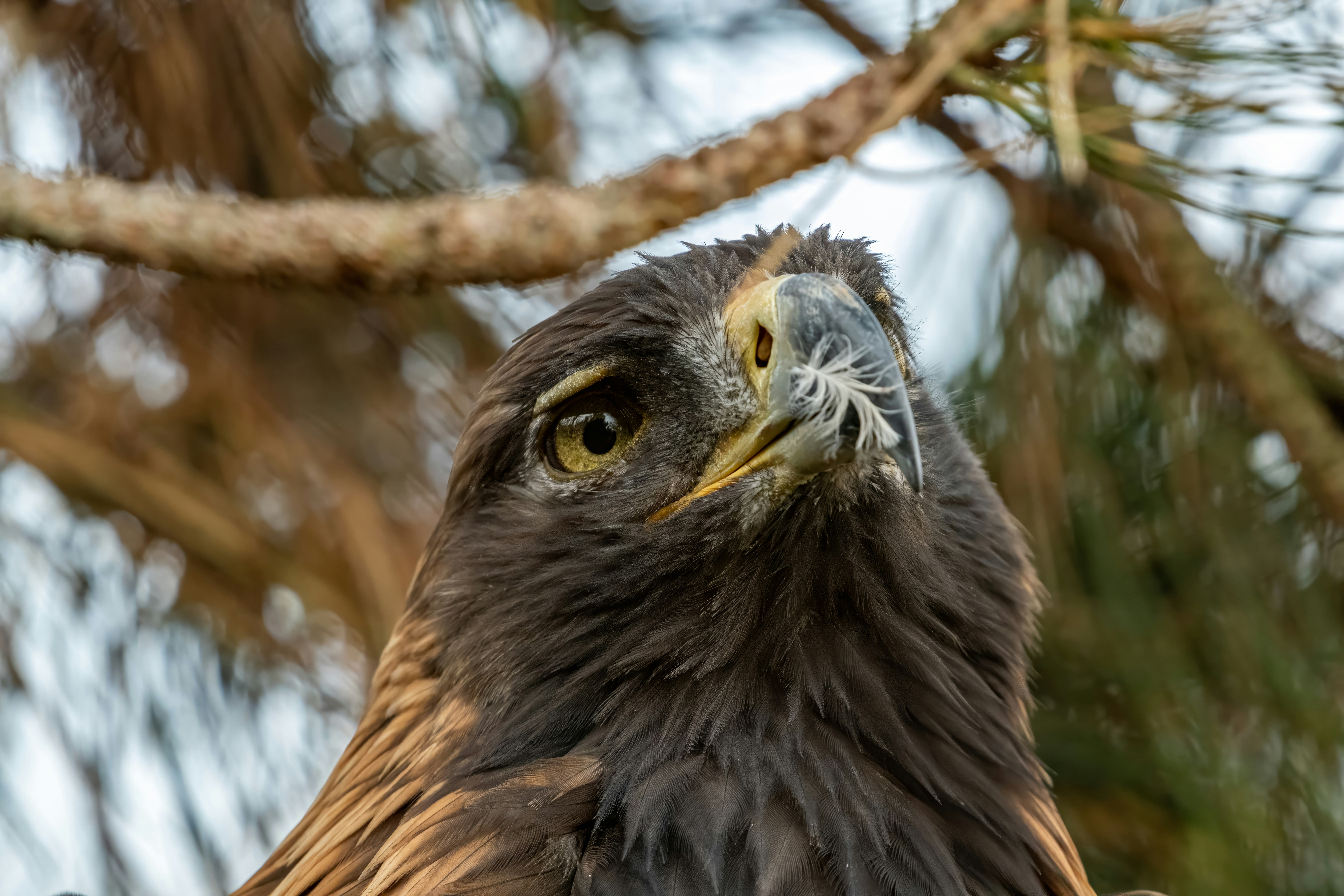 Photo by alexandredaoust