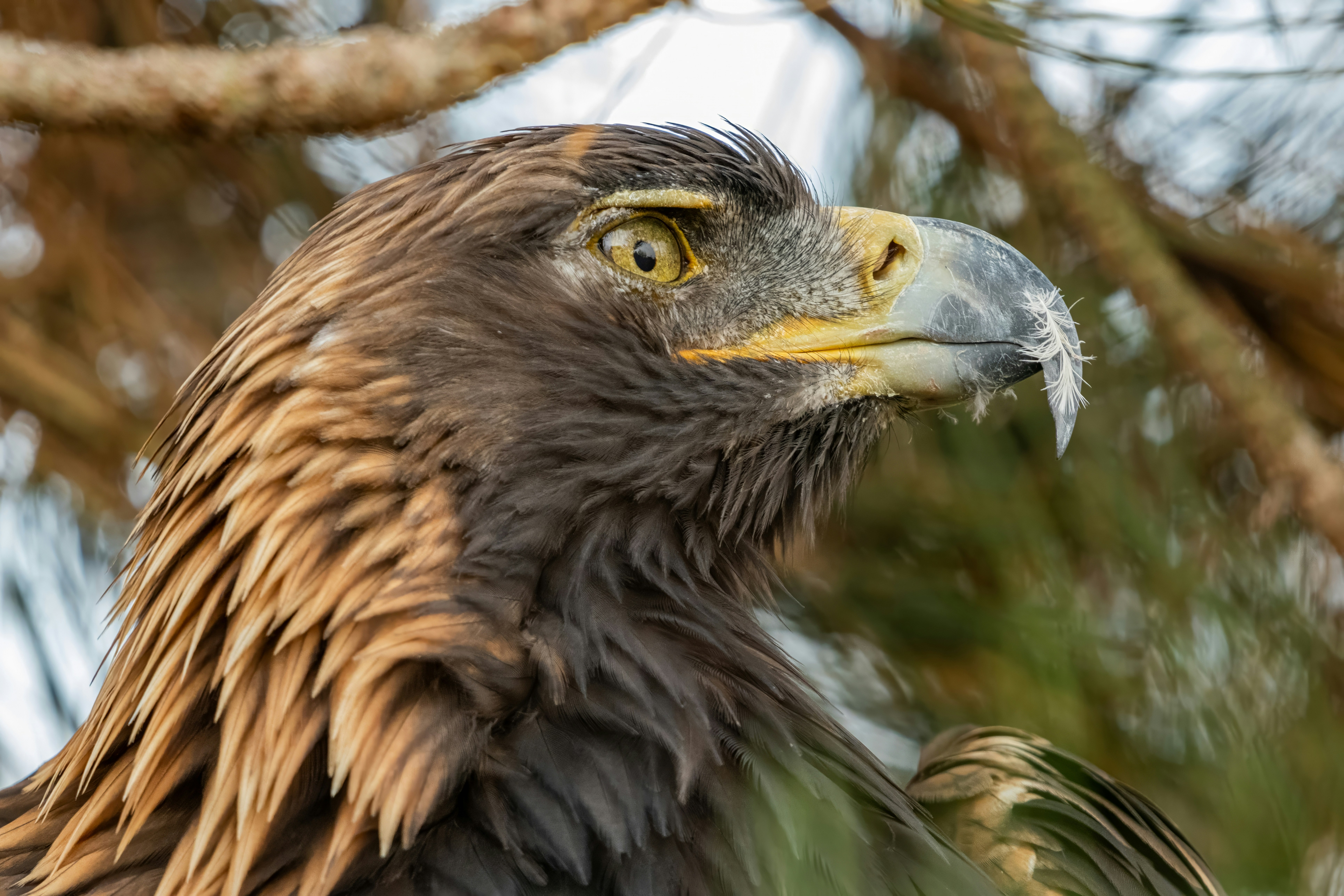 Photo by alexandredaoust