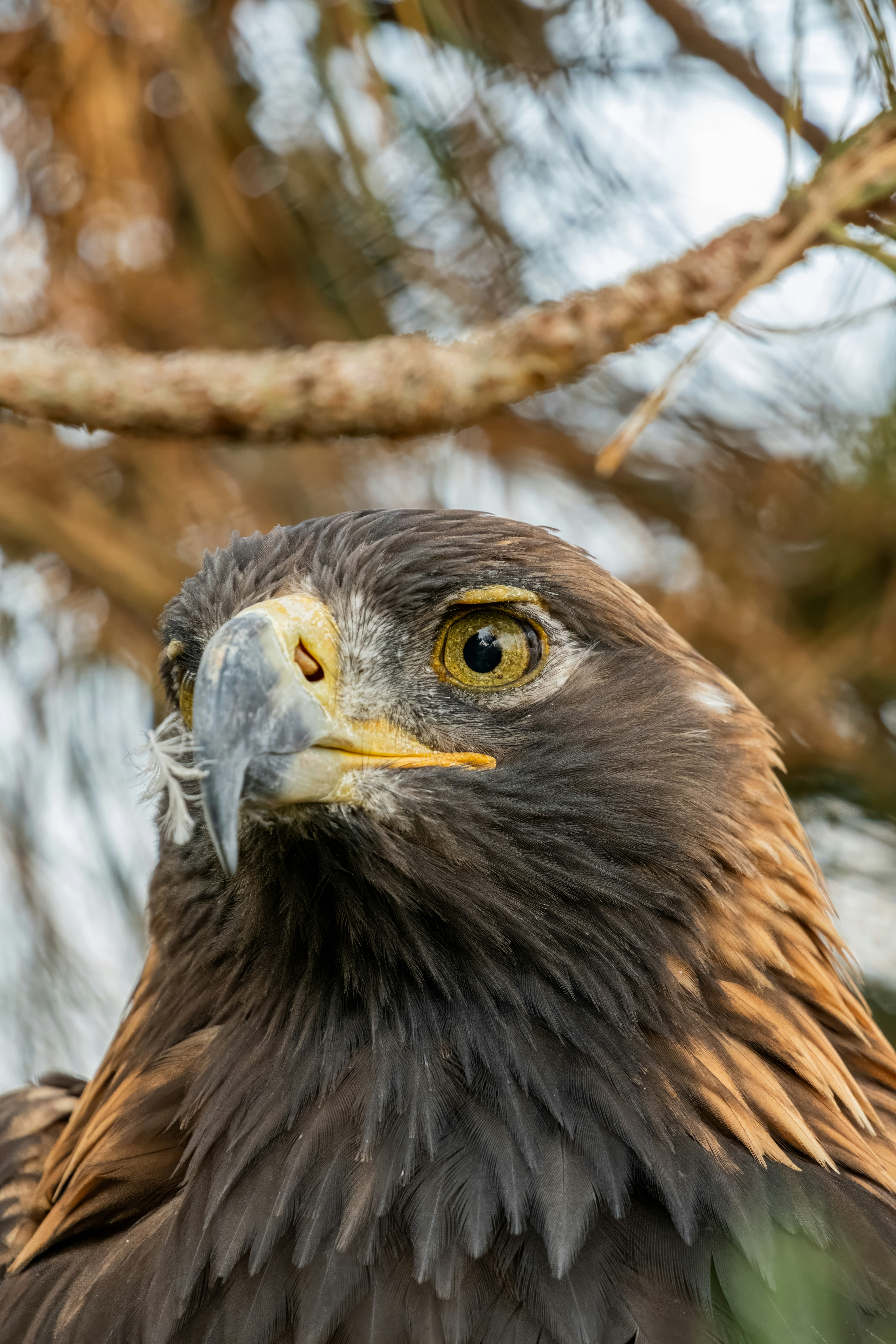 Photo by alexandredaoust