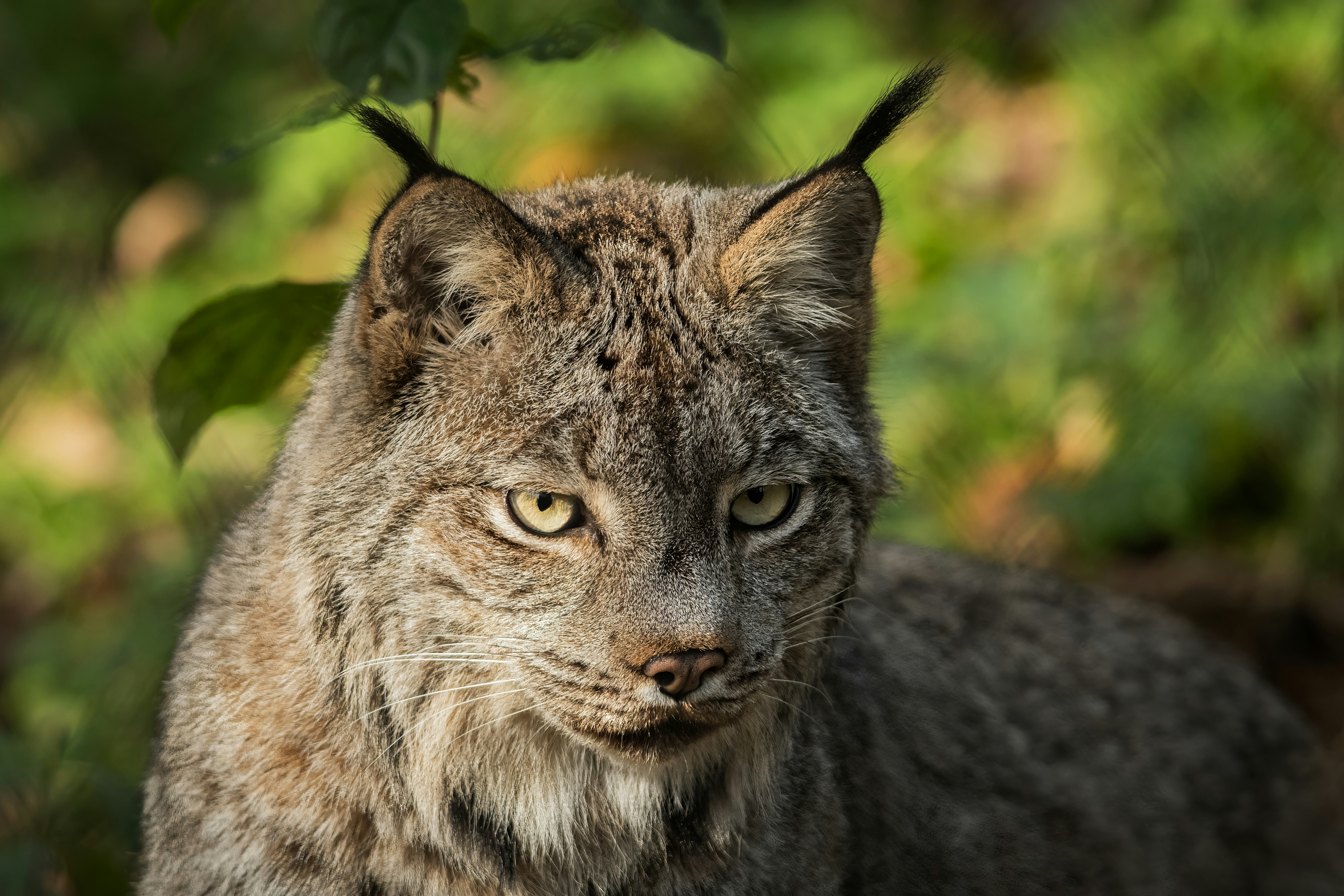 Photo by alexandredaoust