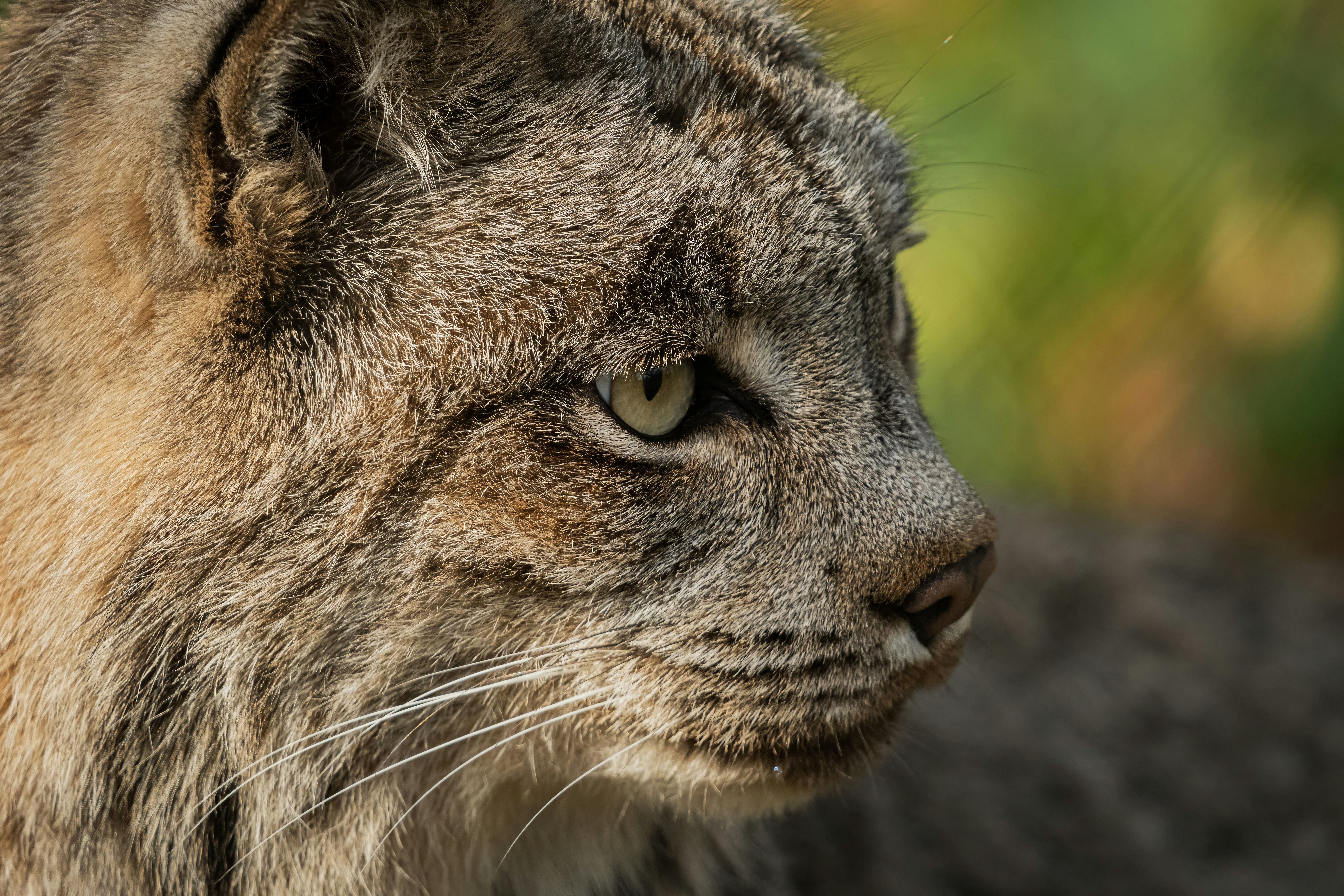 Photo by alexandredaoust