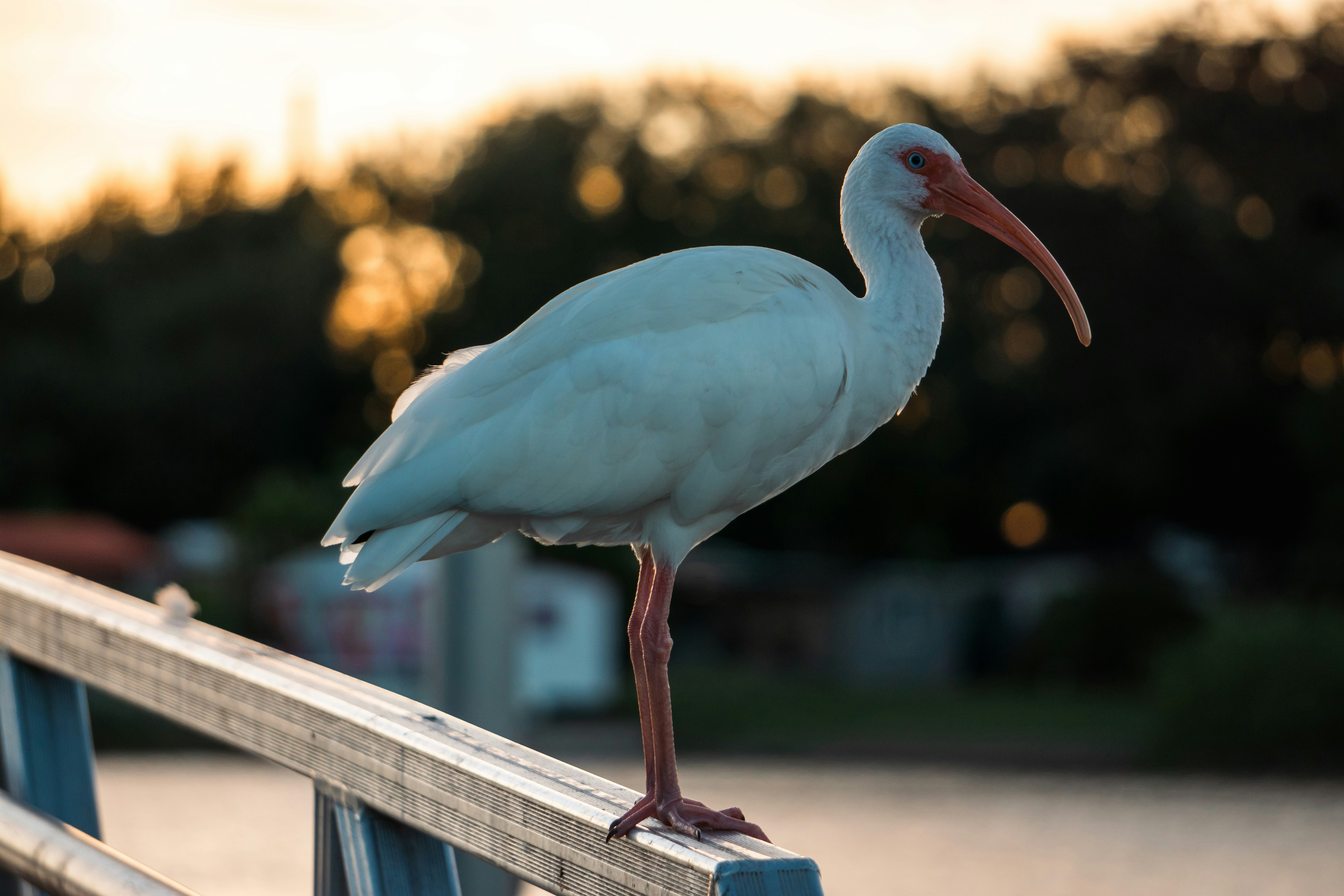 Photo by therandyeffect