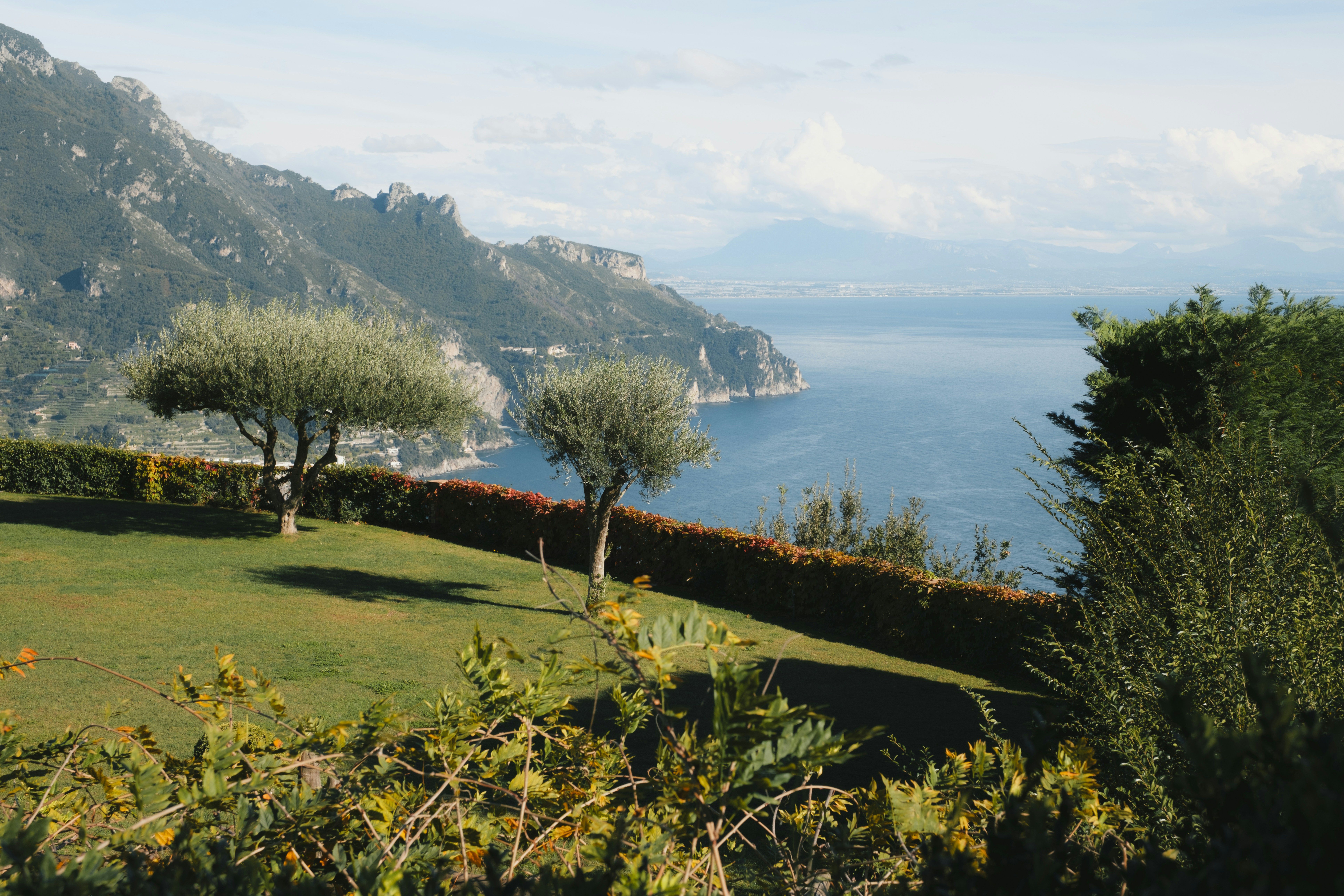 A lush green hillside next to a body of water