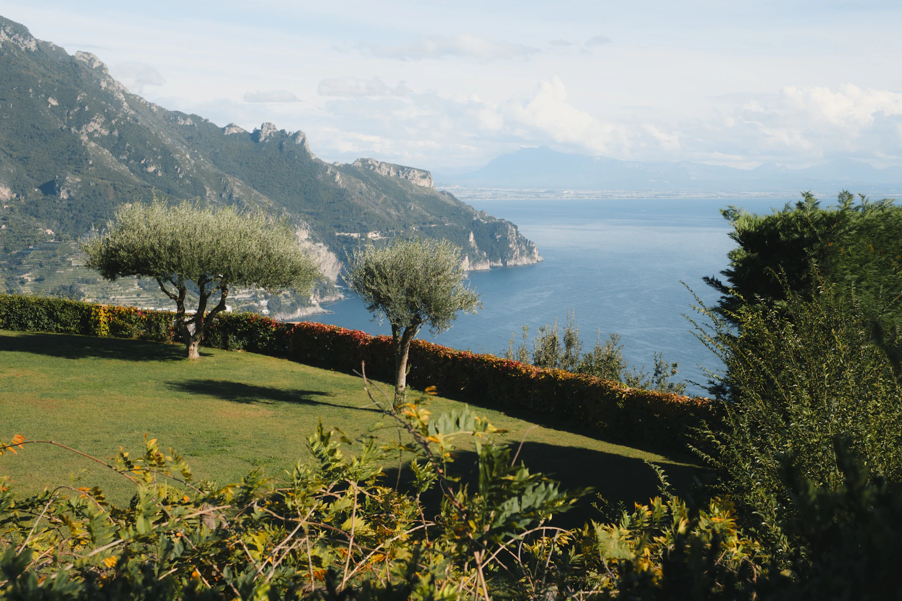 Lush terraced hillside garden overlooking water in a Mediterranean climate