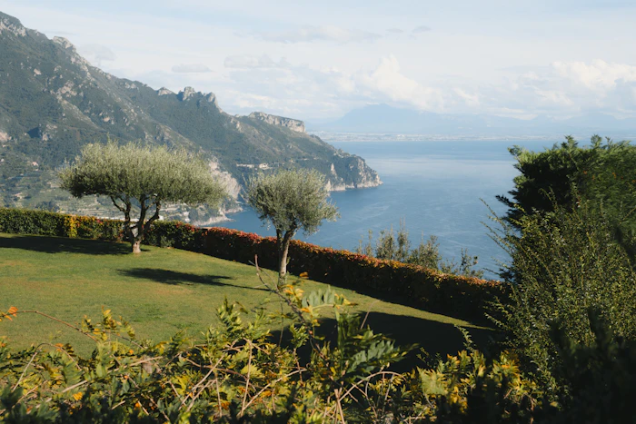 Lush terraced garden landscape in a Mediterranean climate