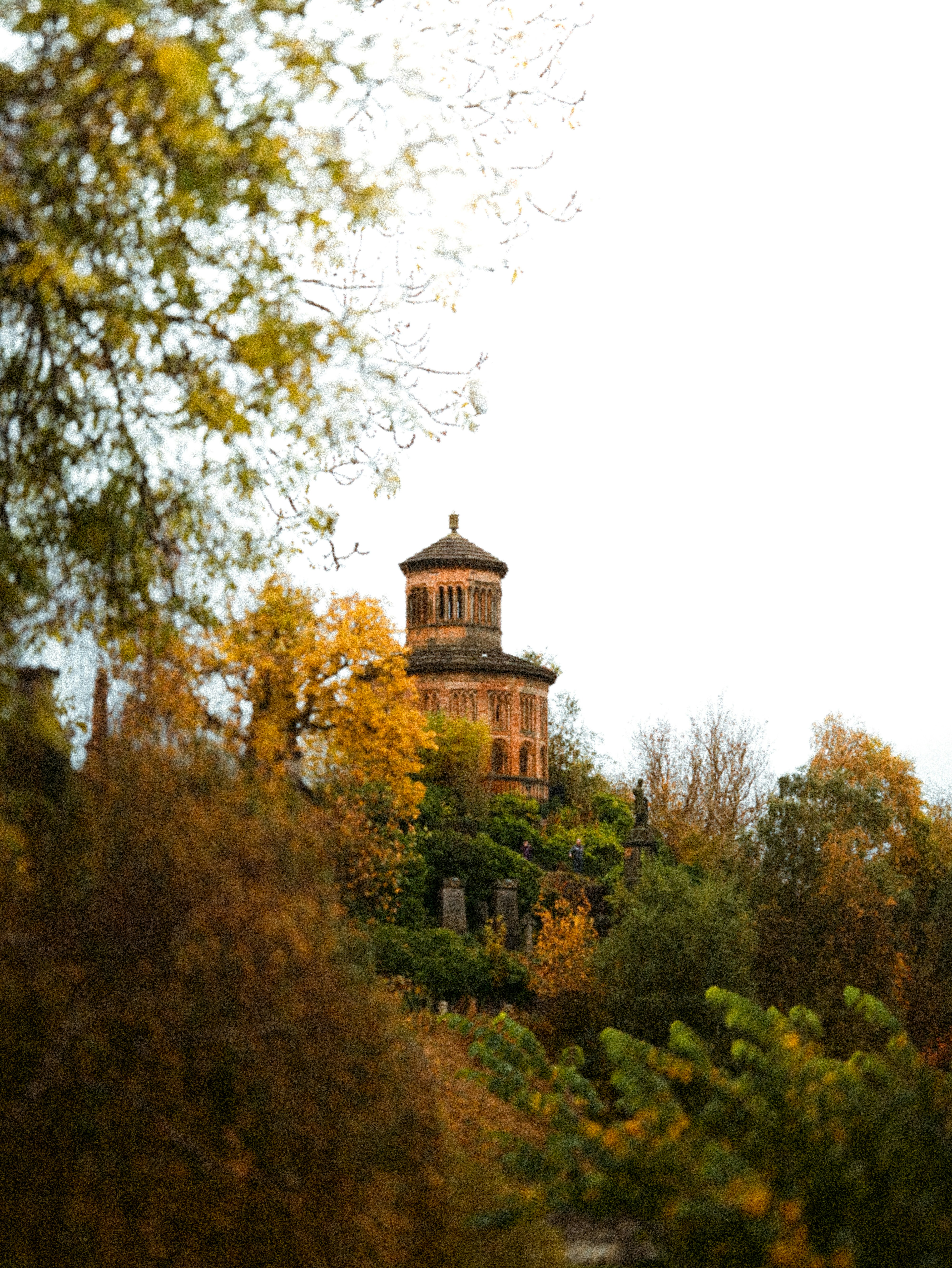 Photo by sanjog3jpeg