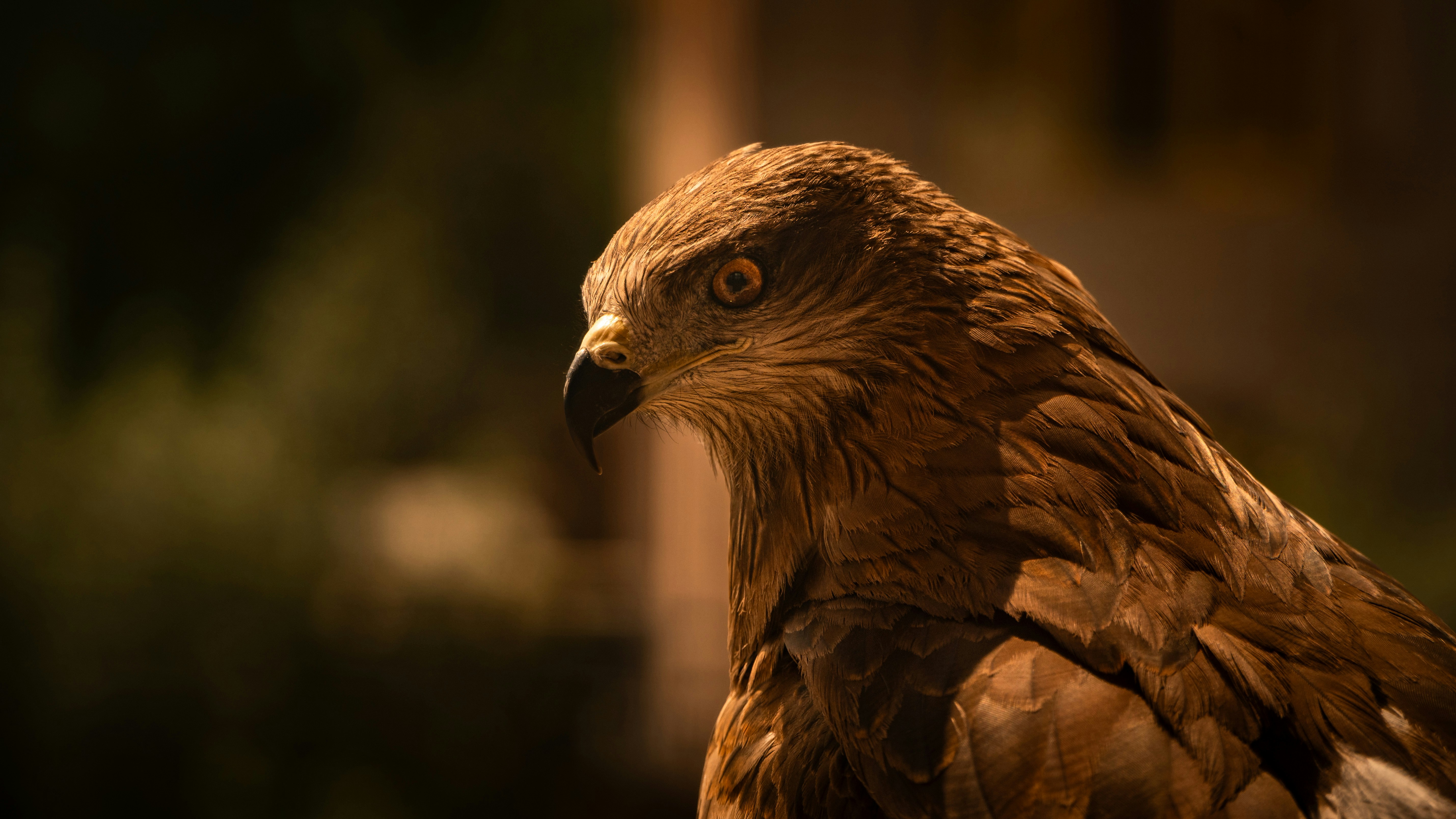 Photo by minimalsayan