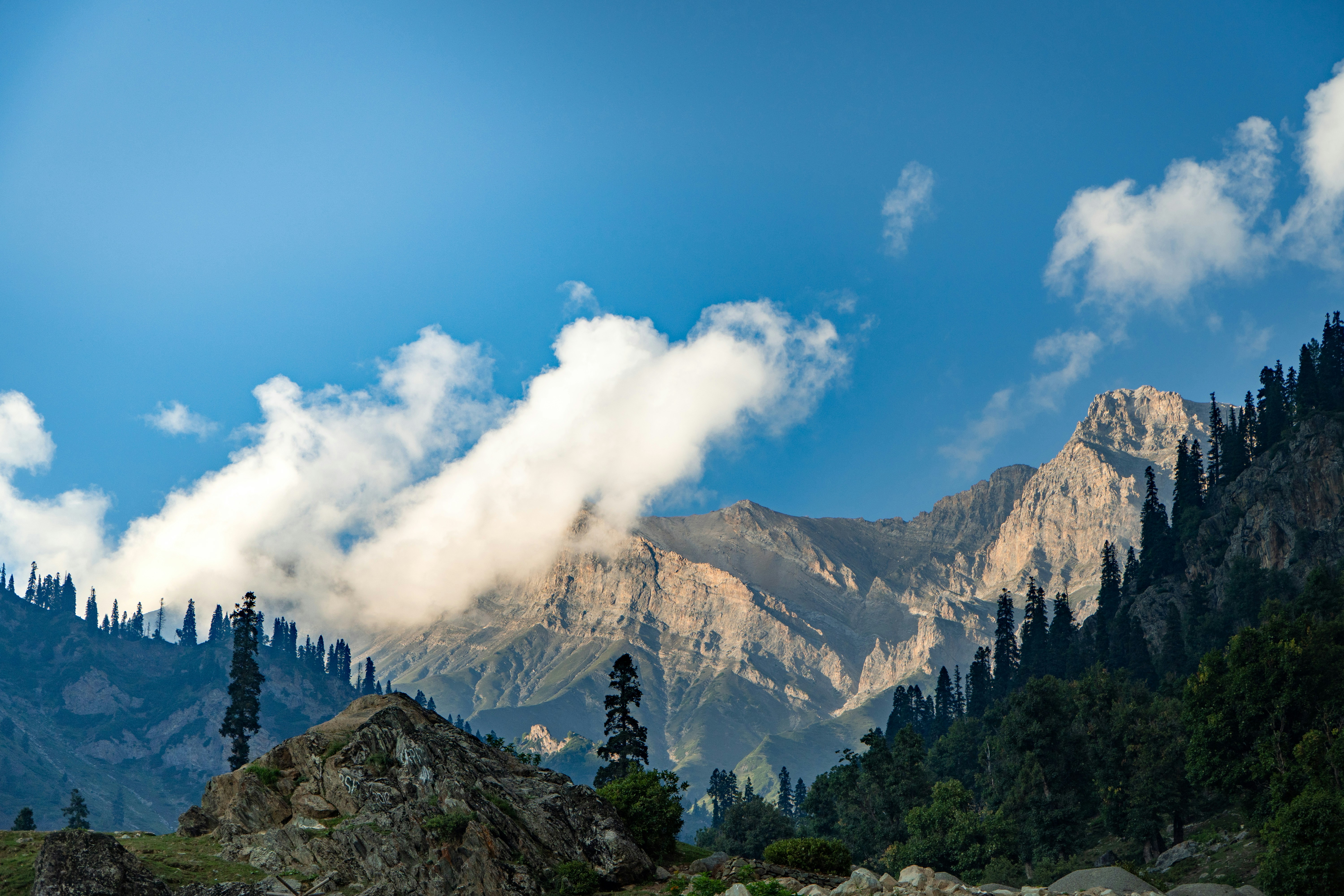 Photo by minimalsayan