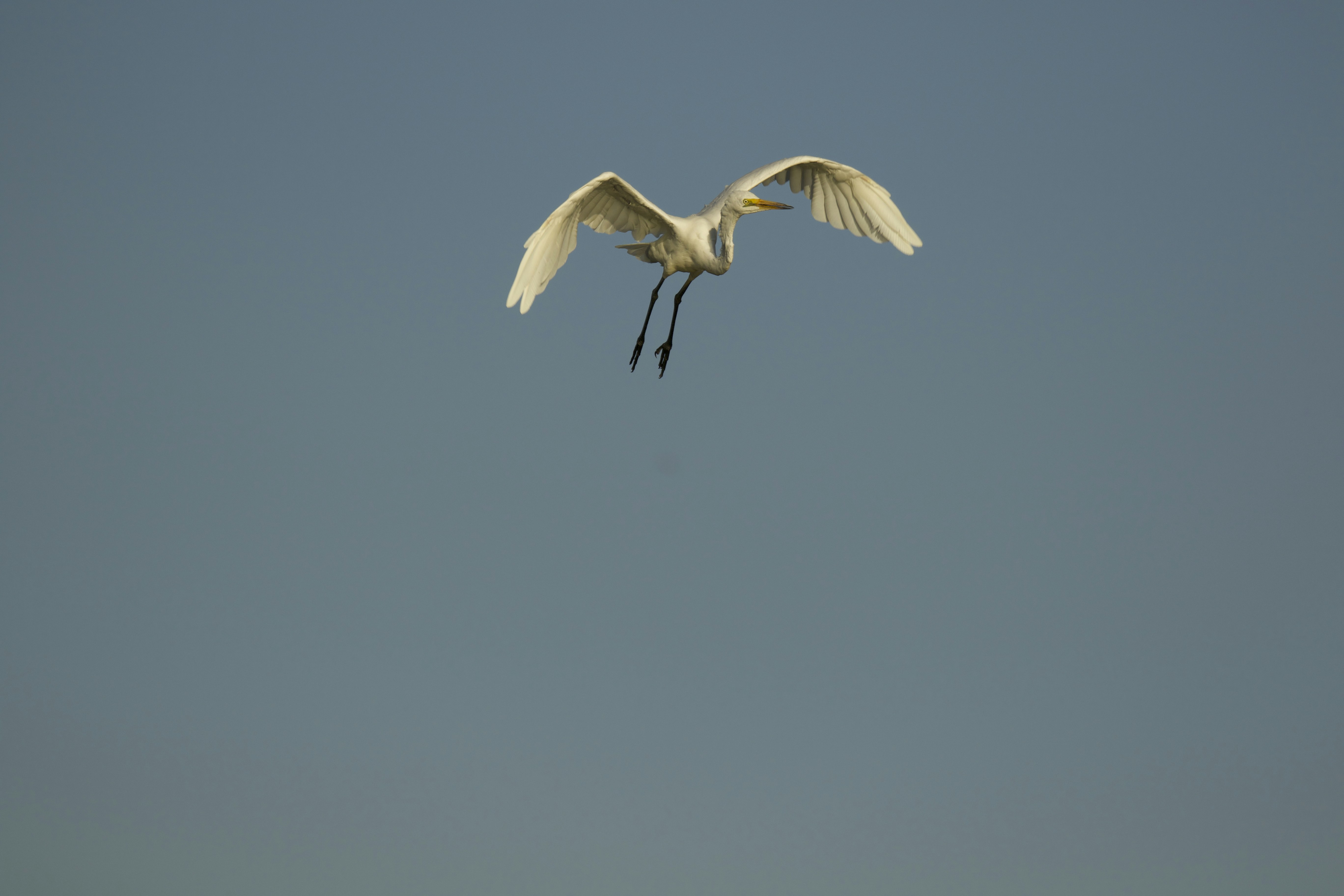Photo by lwlyndon
