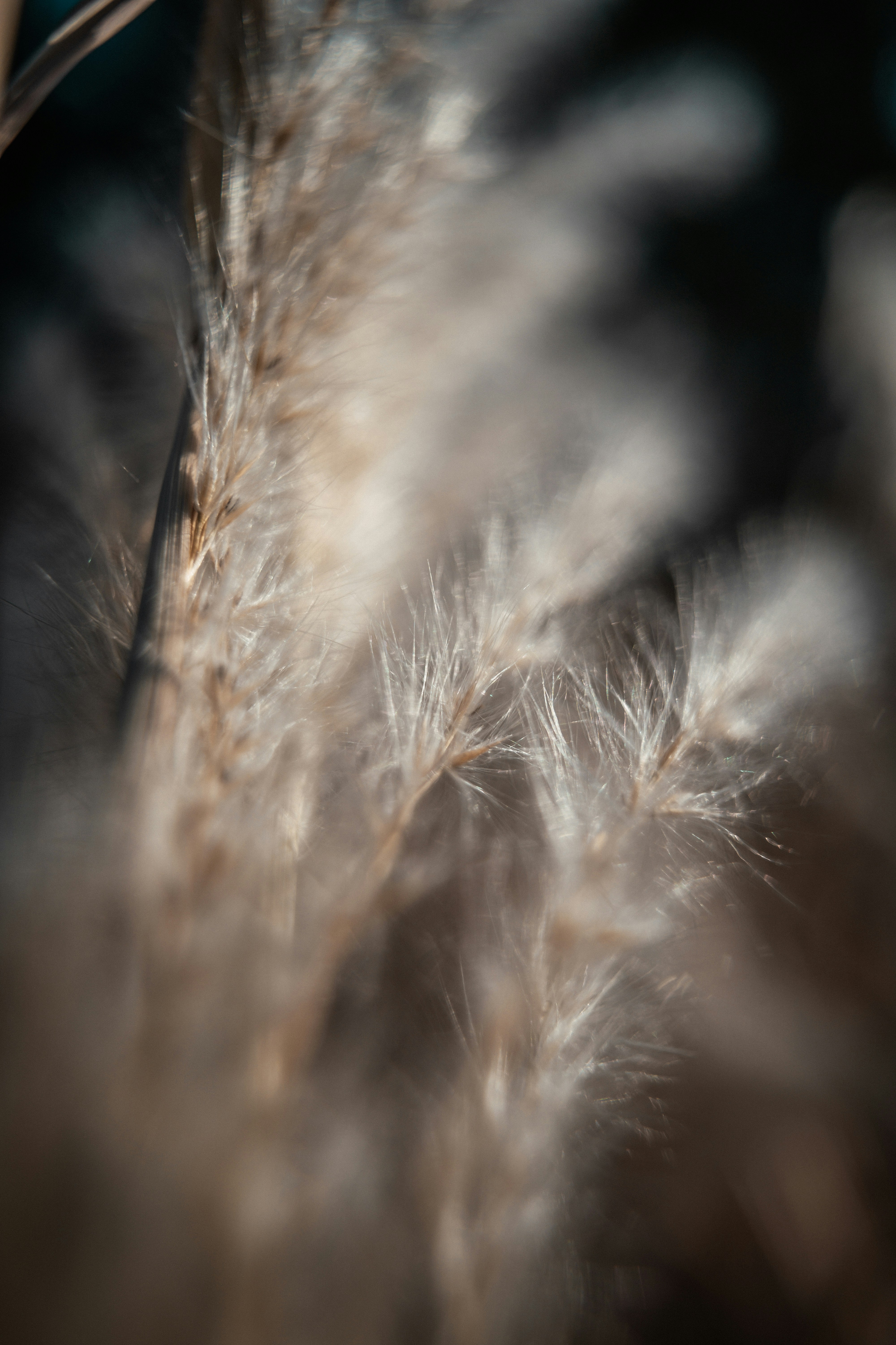 Photo by anamnesis33