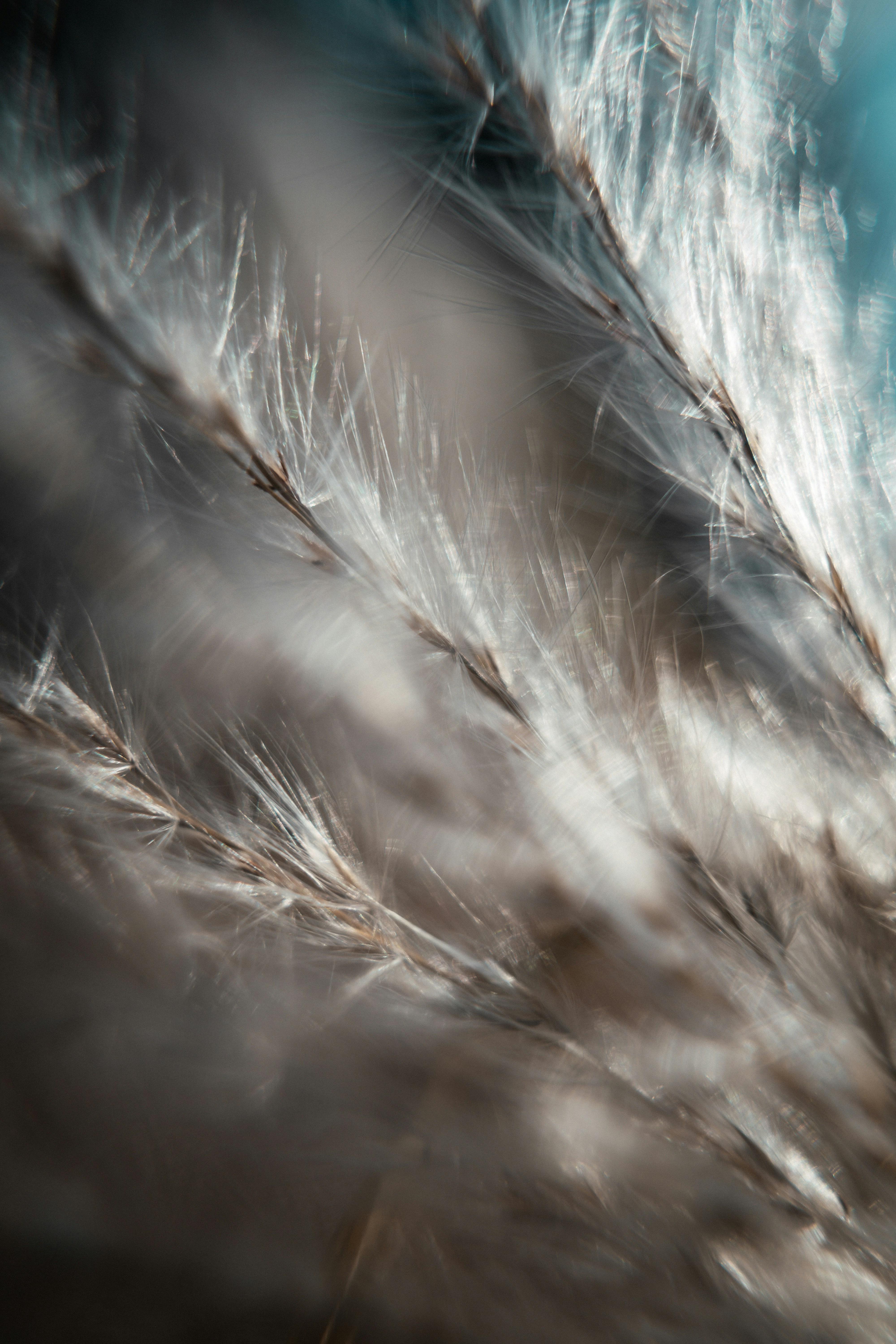 Photo by anamnesis33