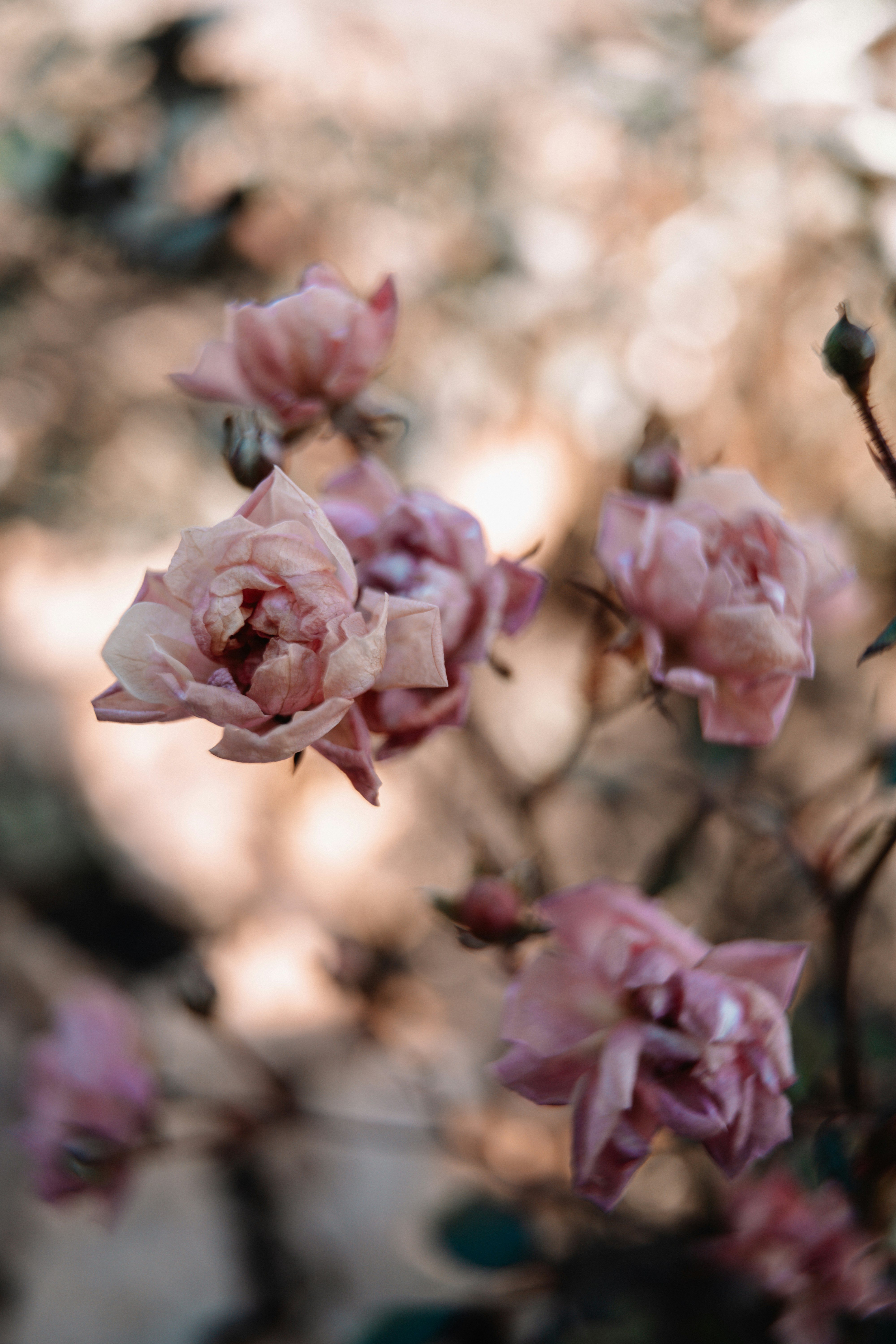 Photo by anamnesis33