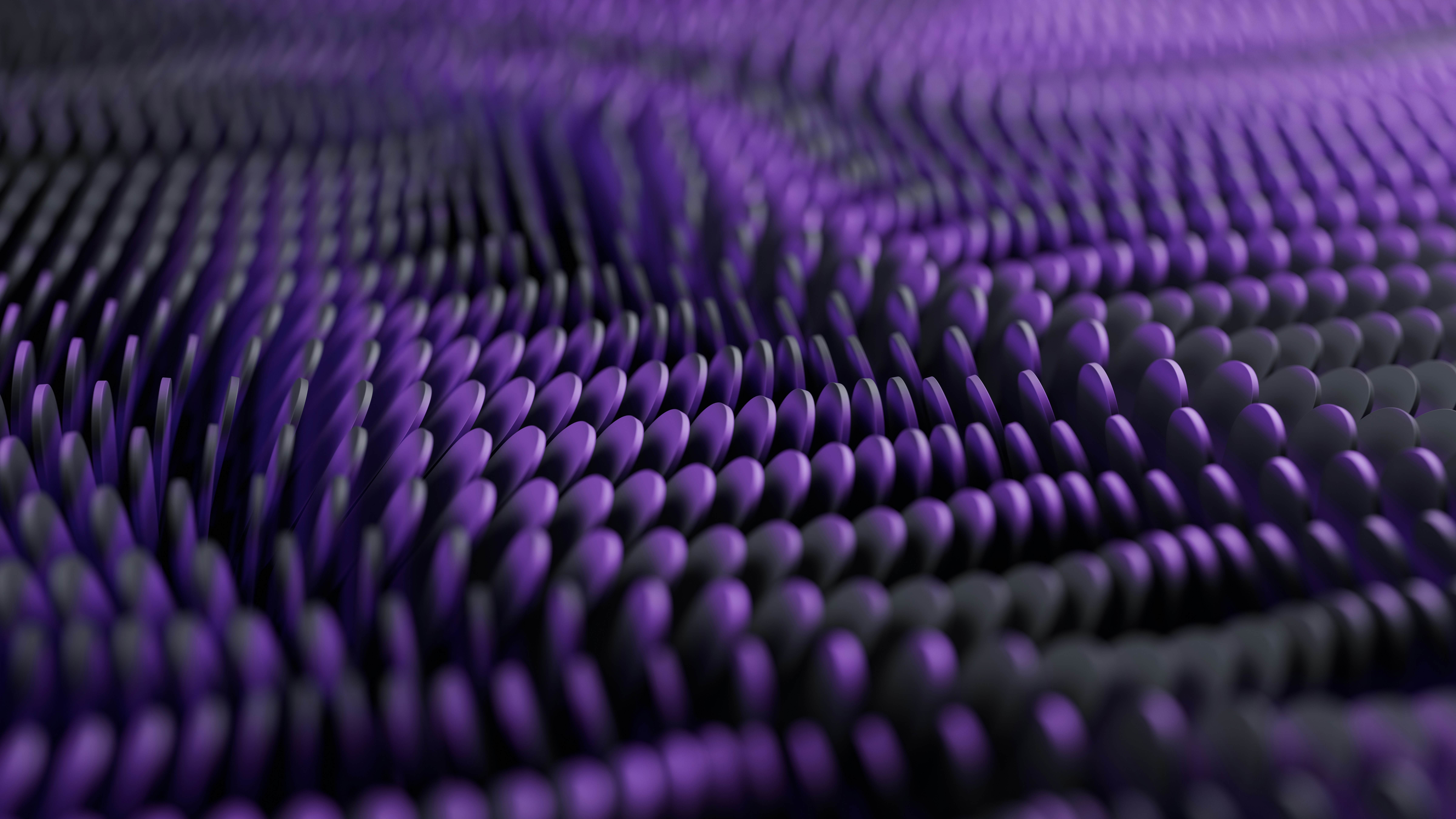 Photo by a_chosensoul