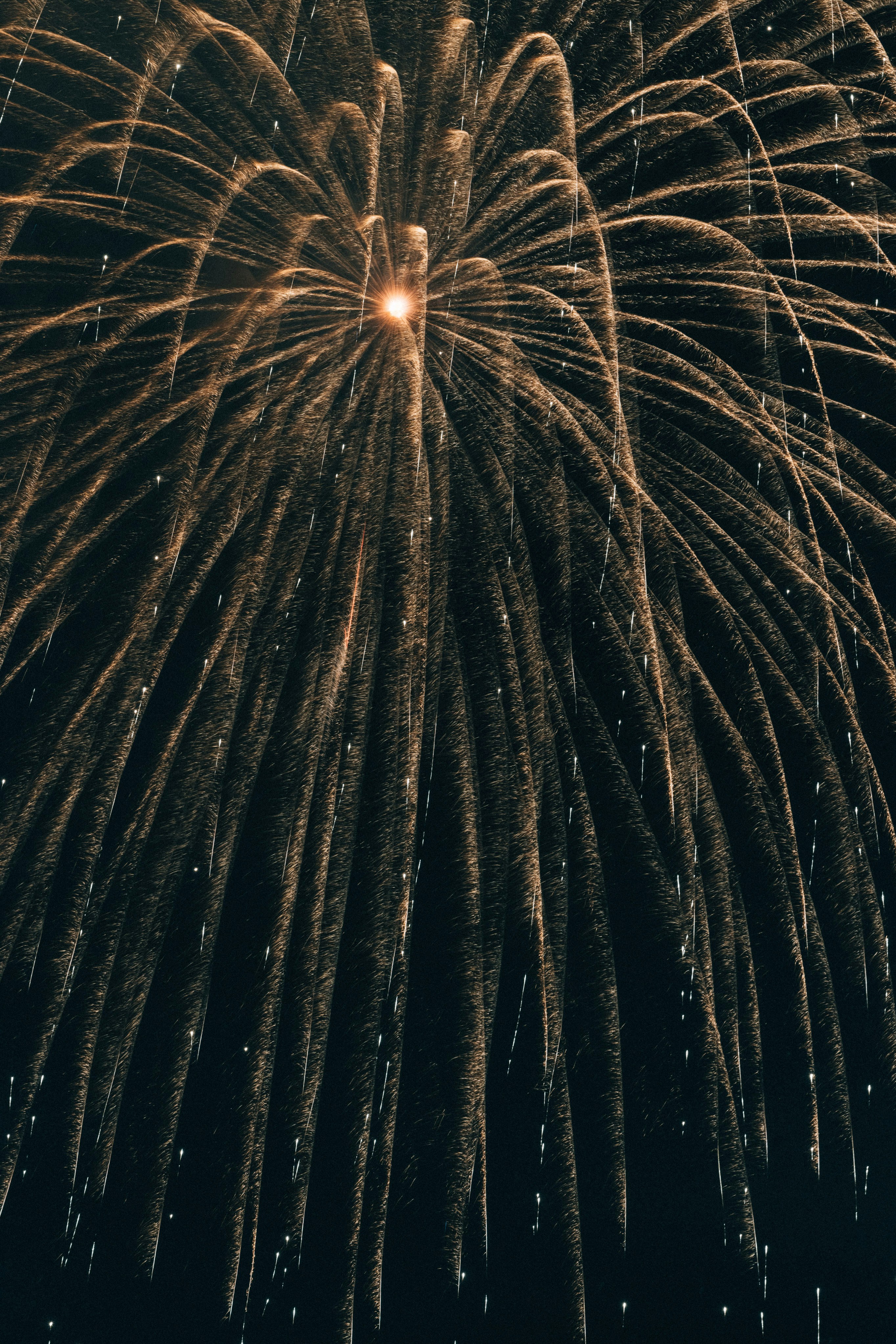 Photo by tsuyoshikozu