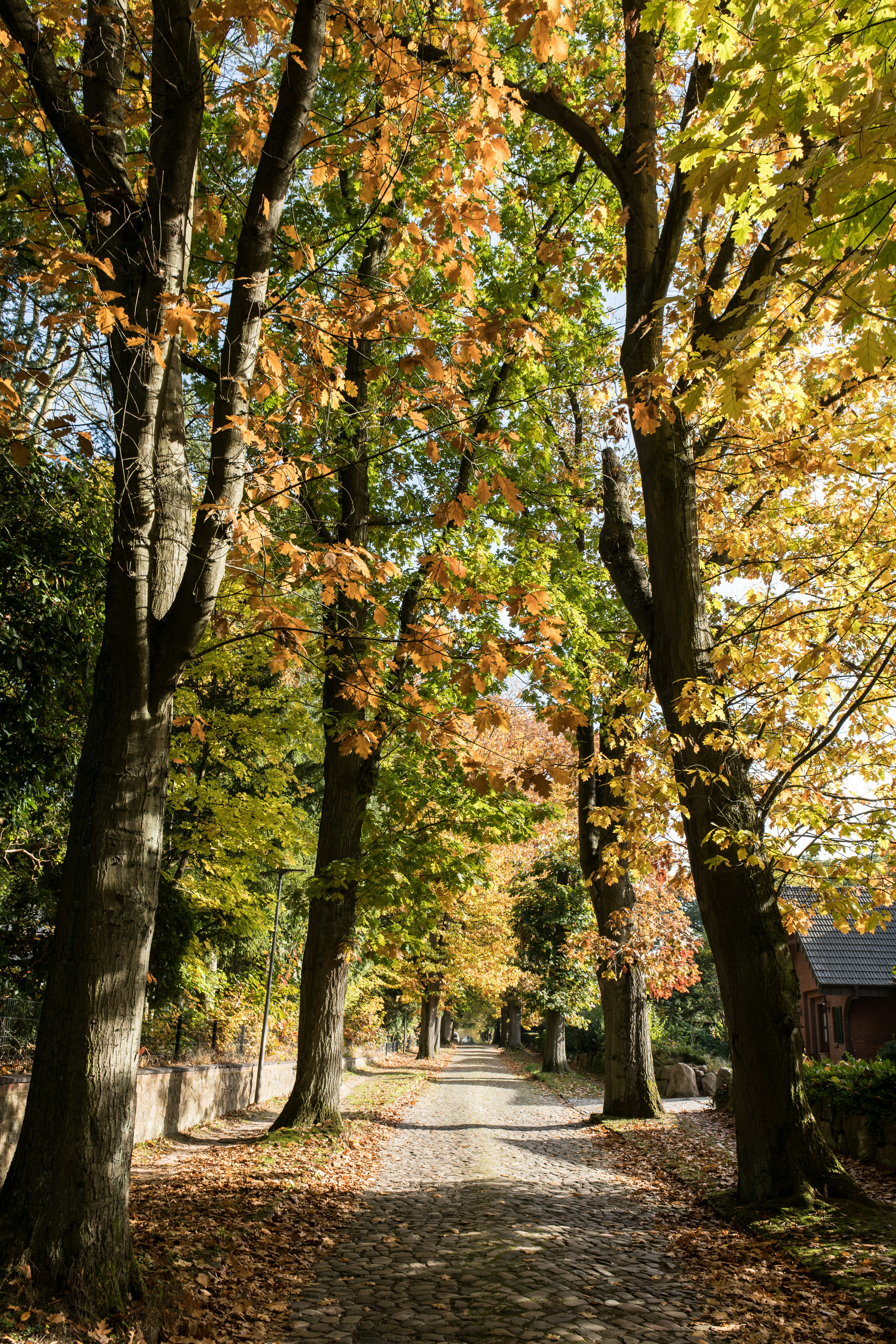 Photo by hamburgmeinefreundin