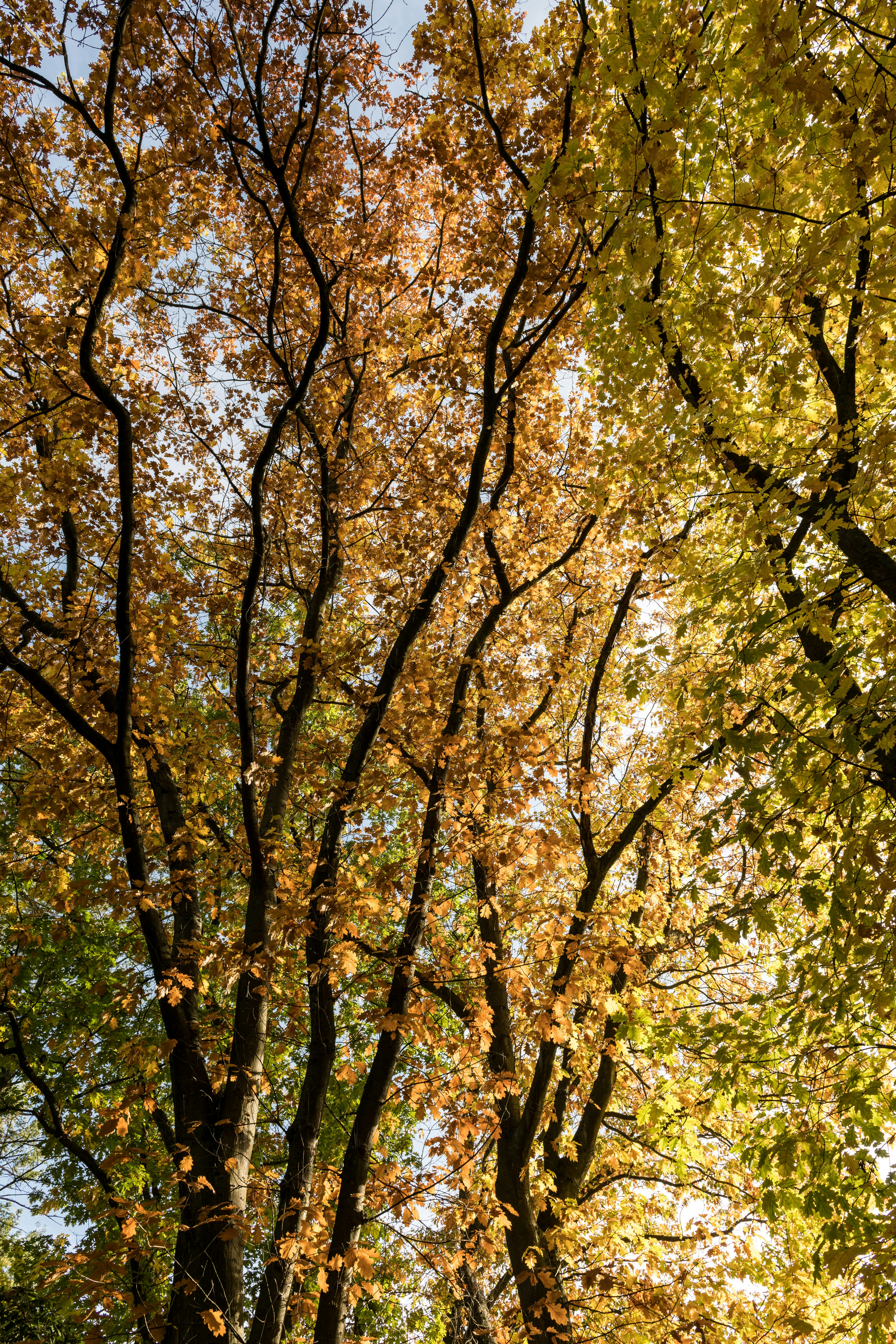 Photo by hamburgmeinefreundin