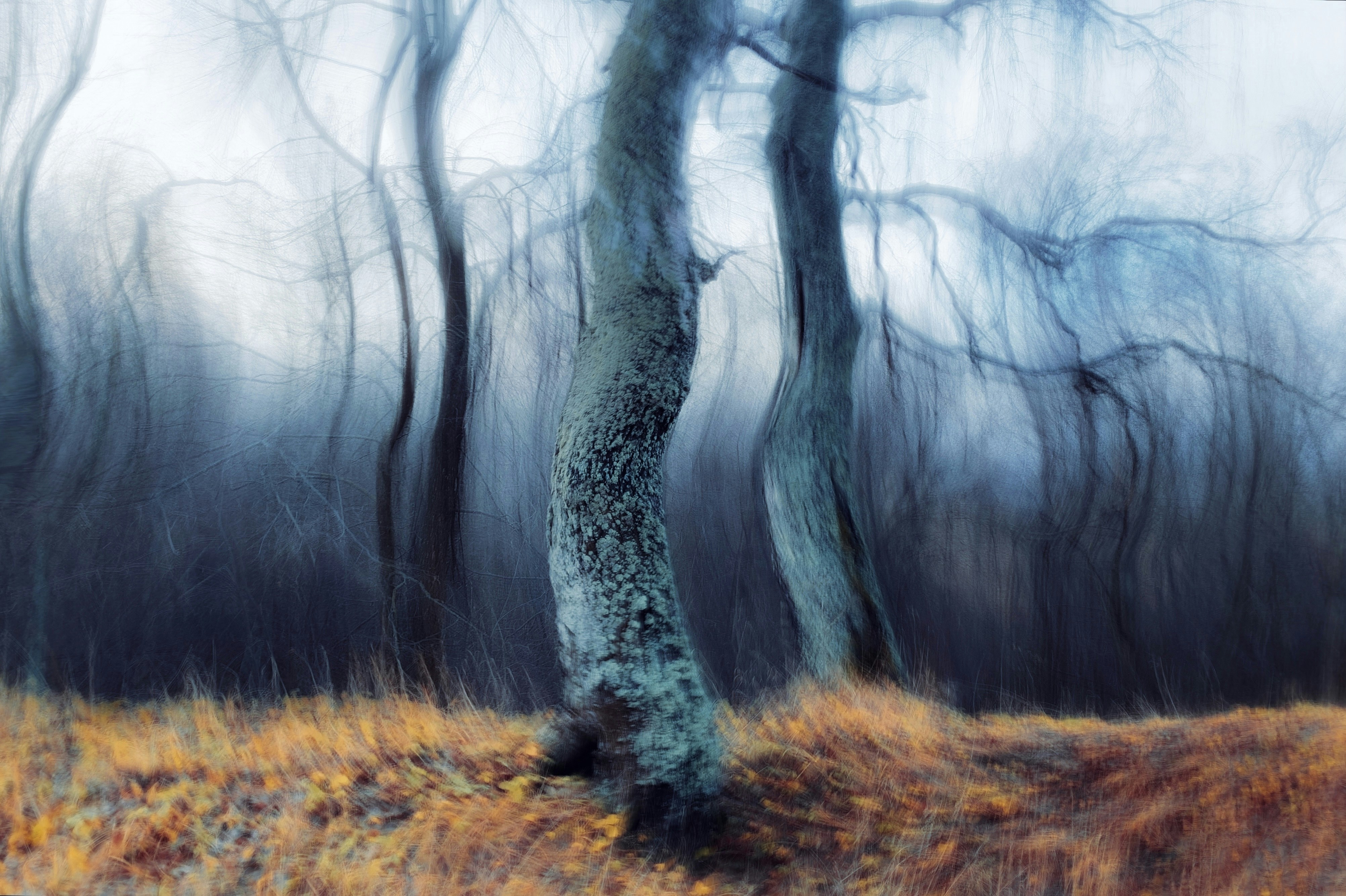 Photo by eugene_golovesov