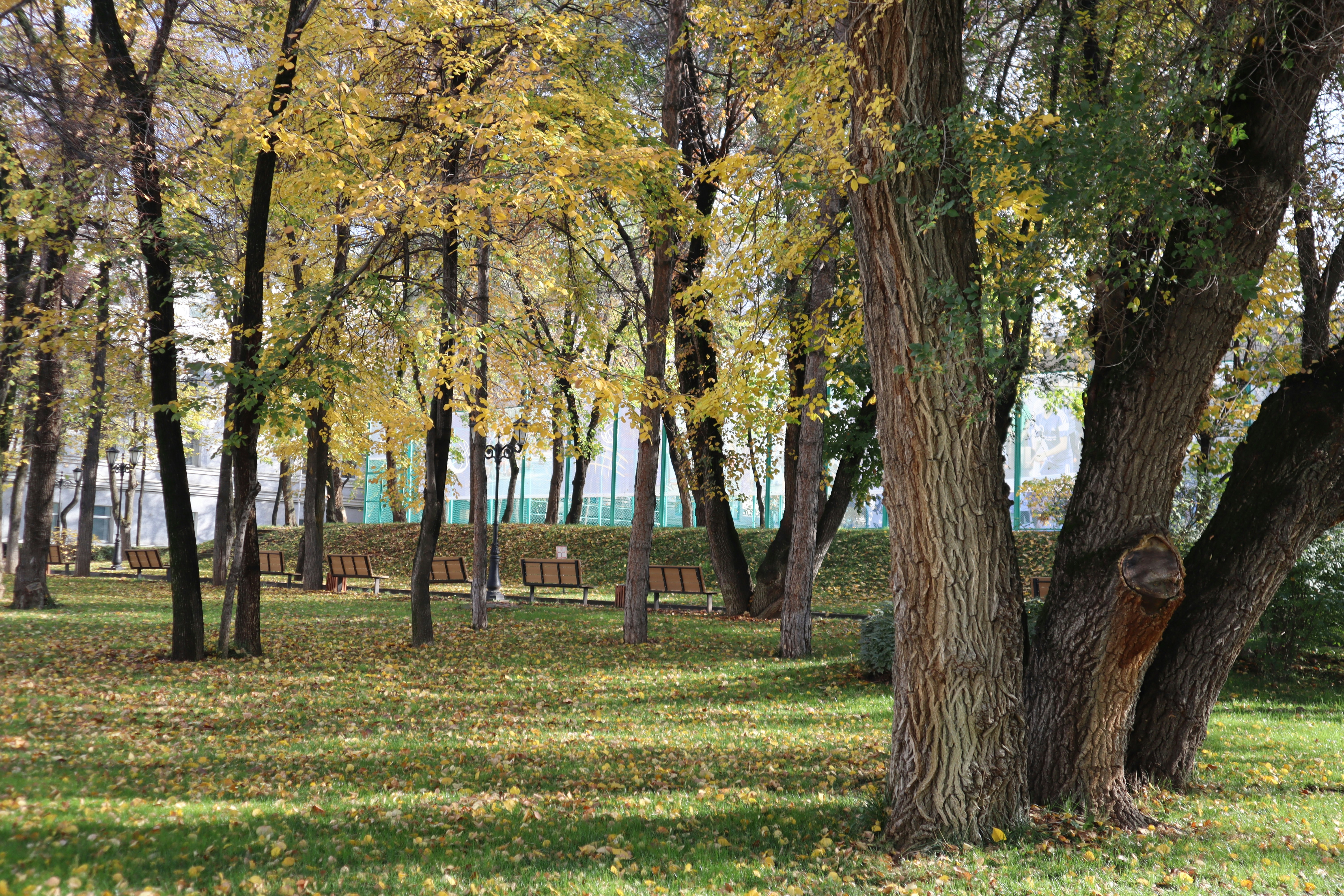 Photo by collab_media