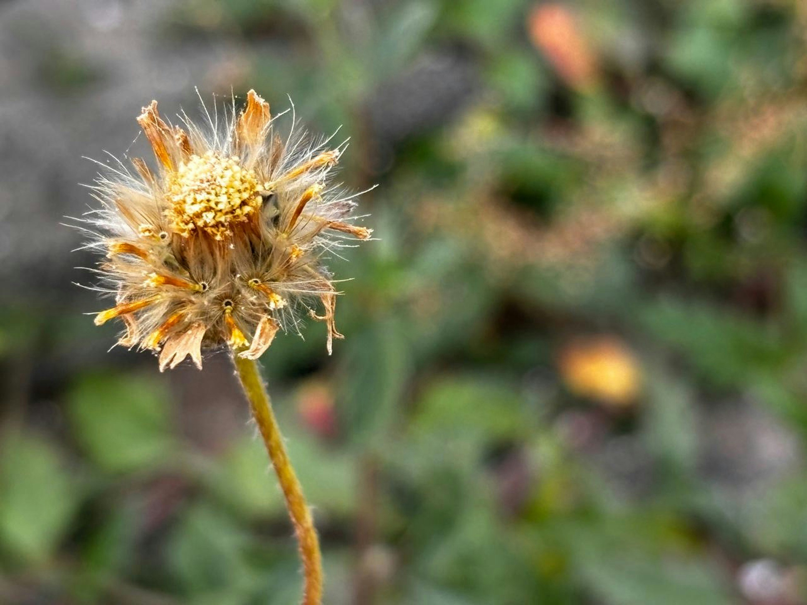 Photo by wandering_tales