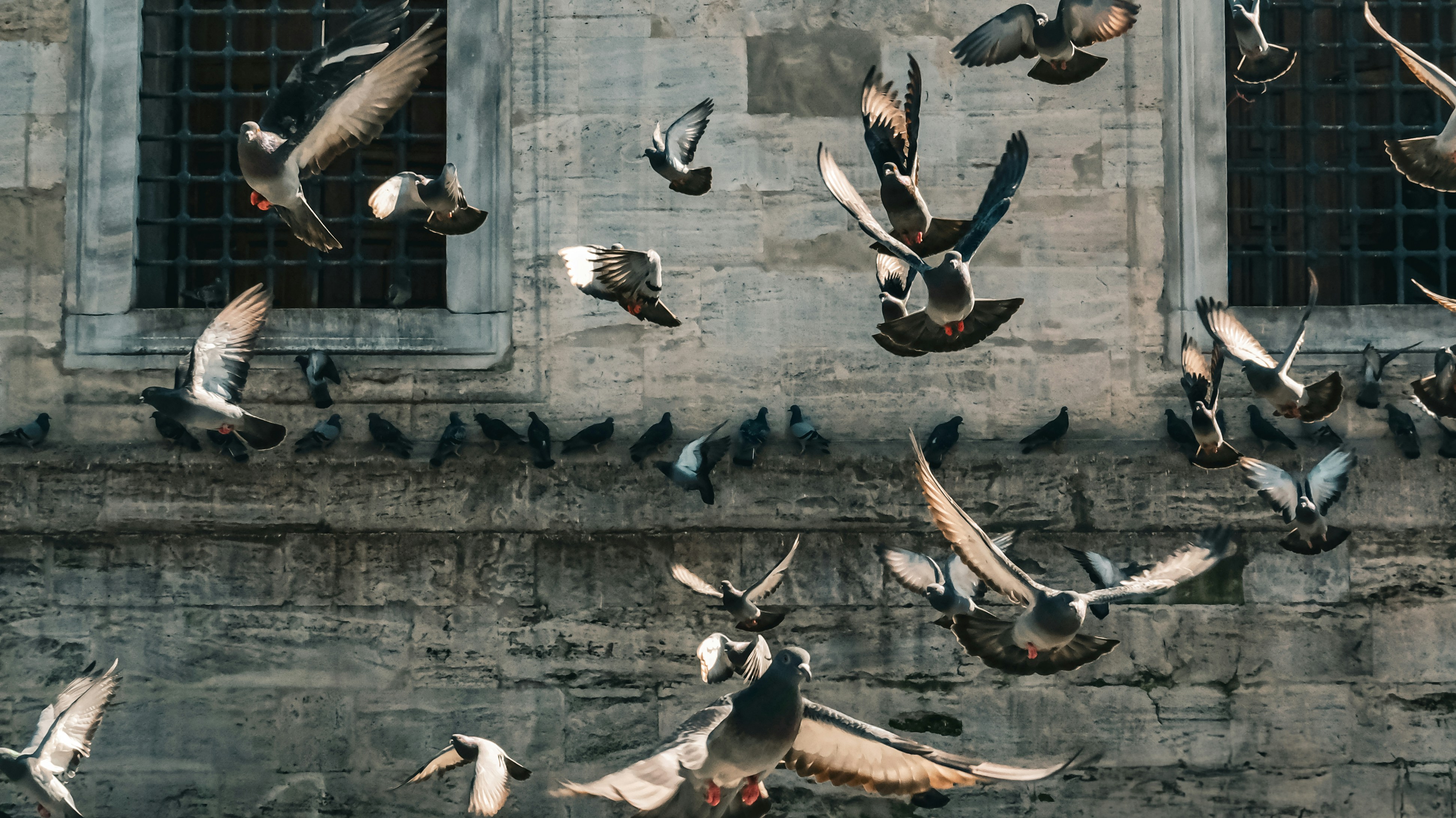 Finding Stillness in the Chaos: Fight for My Right to be Present