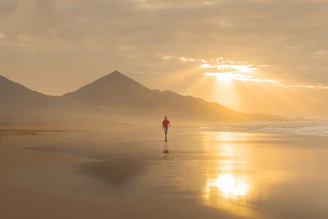 A person walking on a beach at sunset