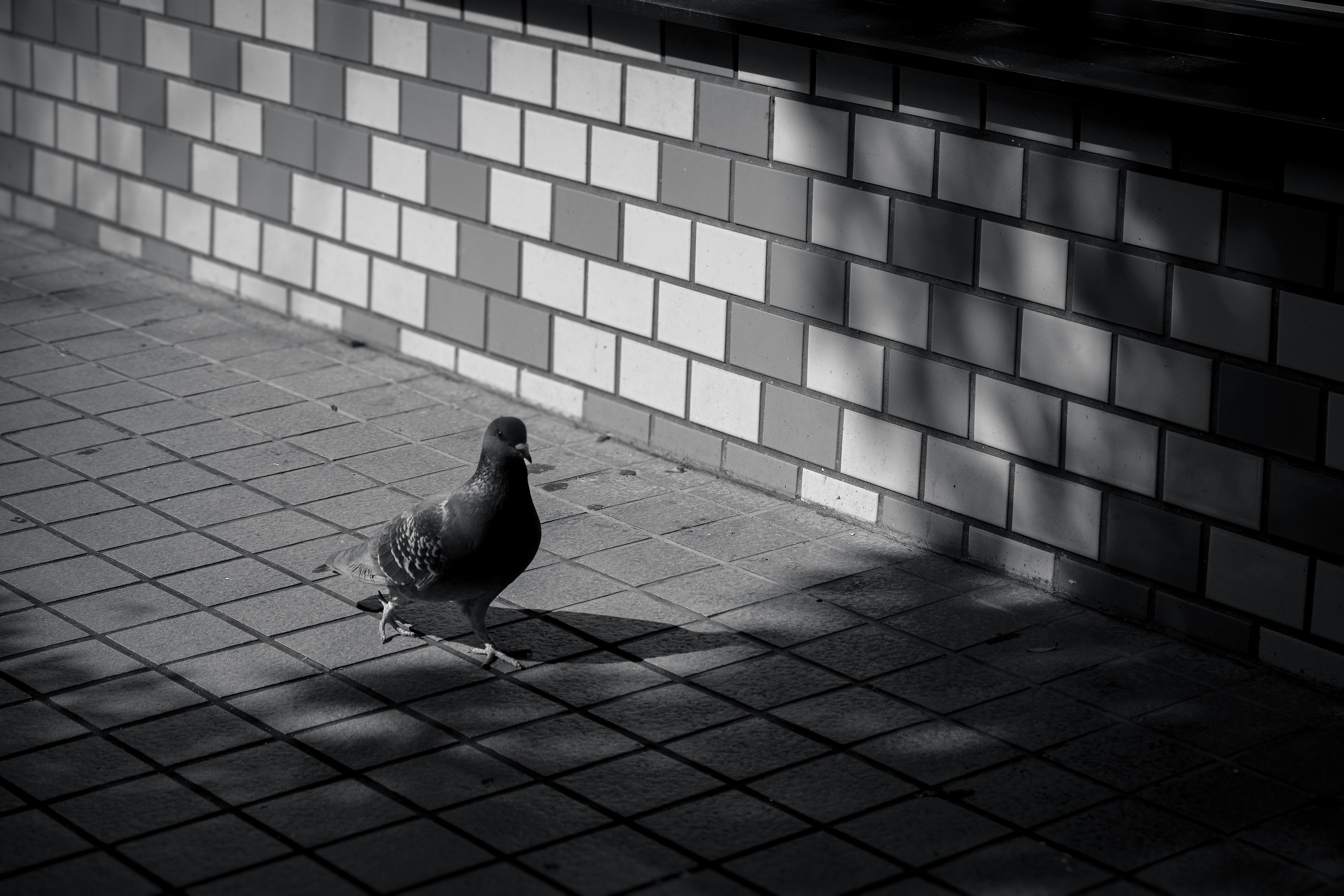 Photo by rbgphotographer