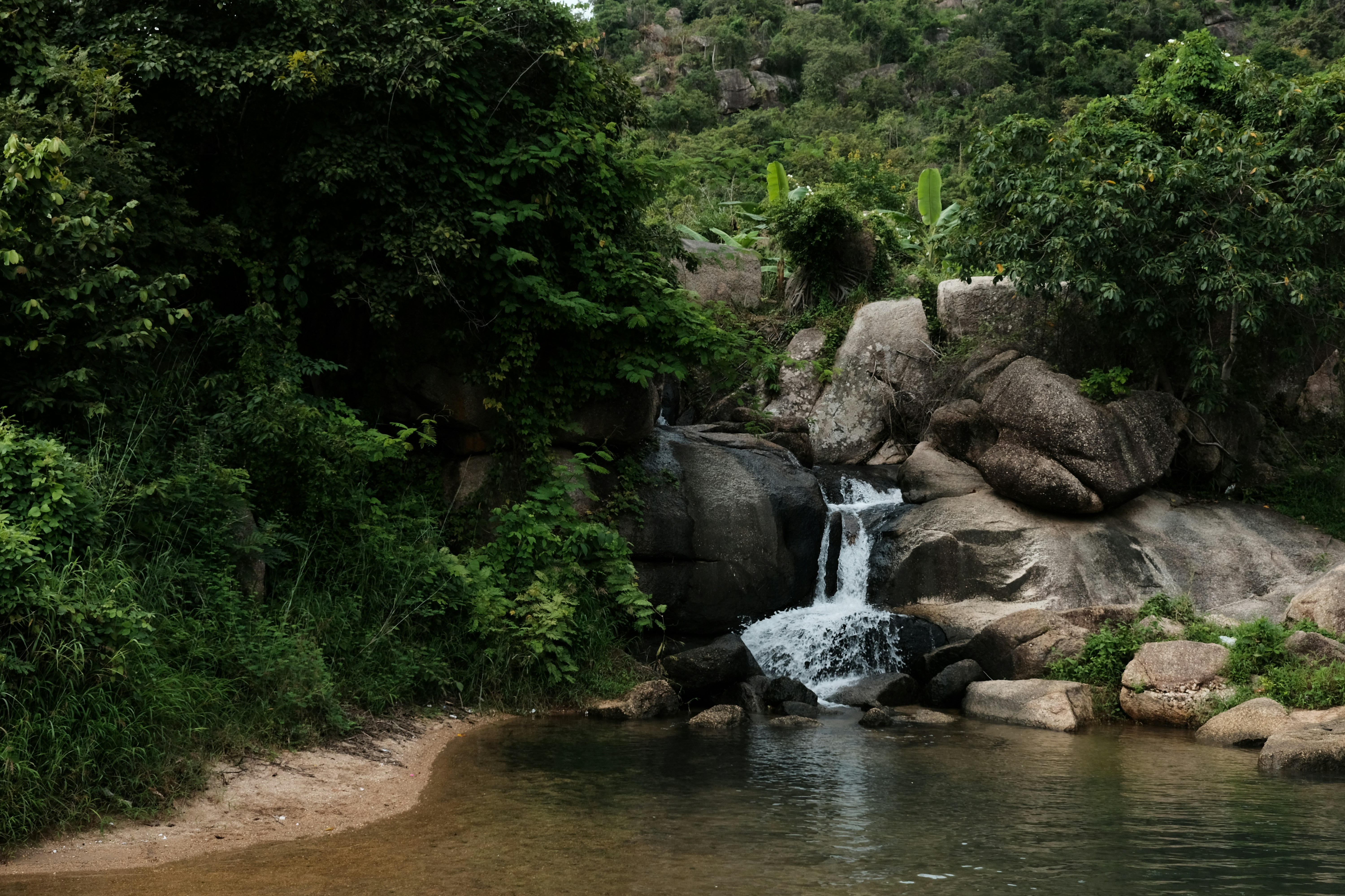 A small waterfall in the middle of a forest