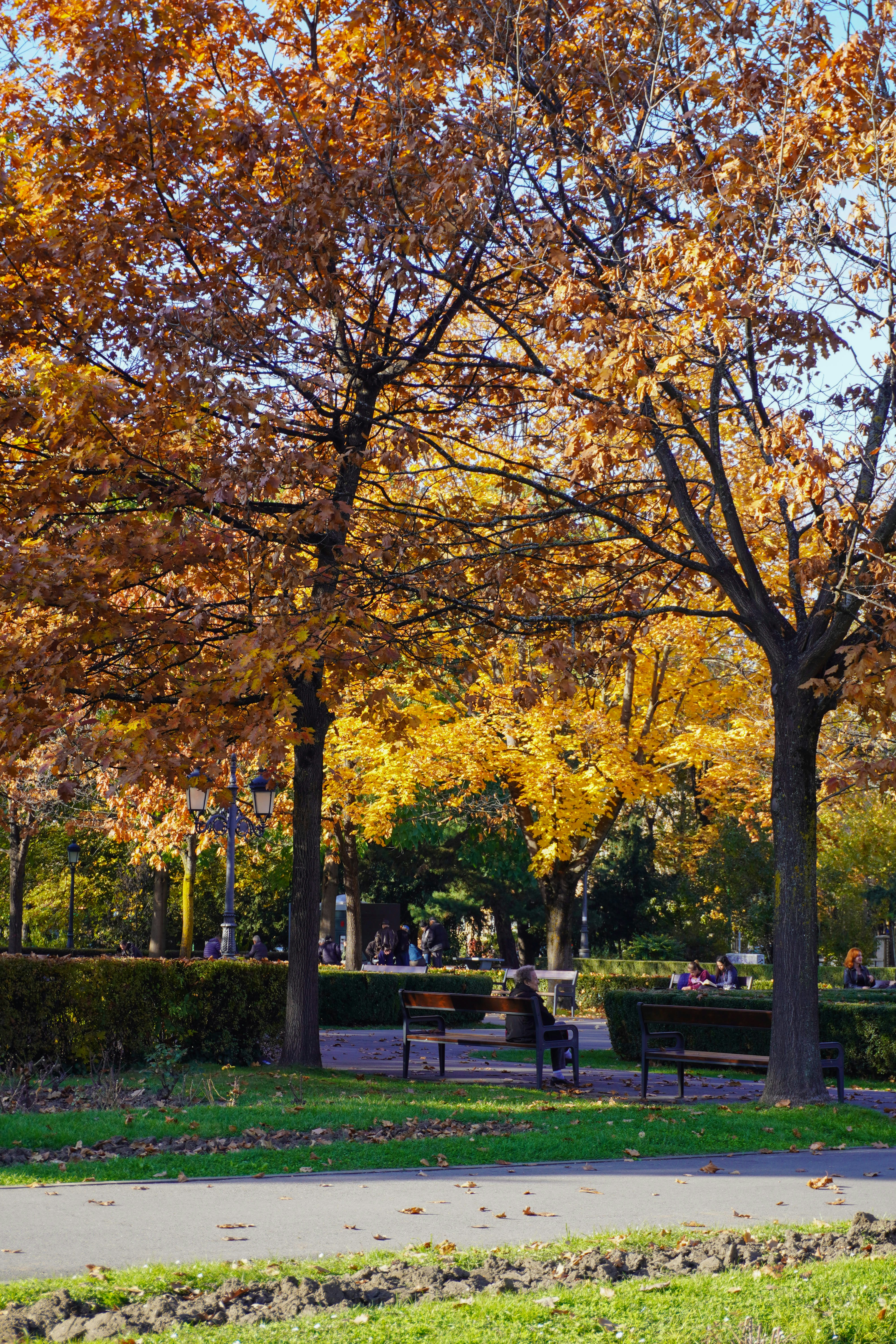 Photo by ioana_roxanna_b