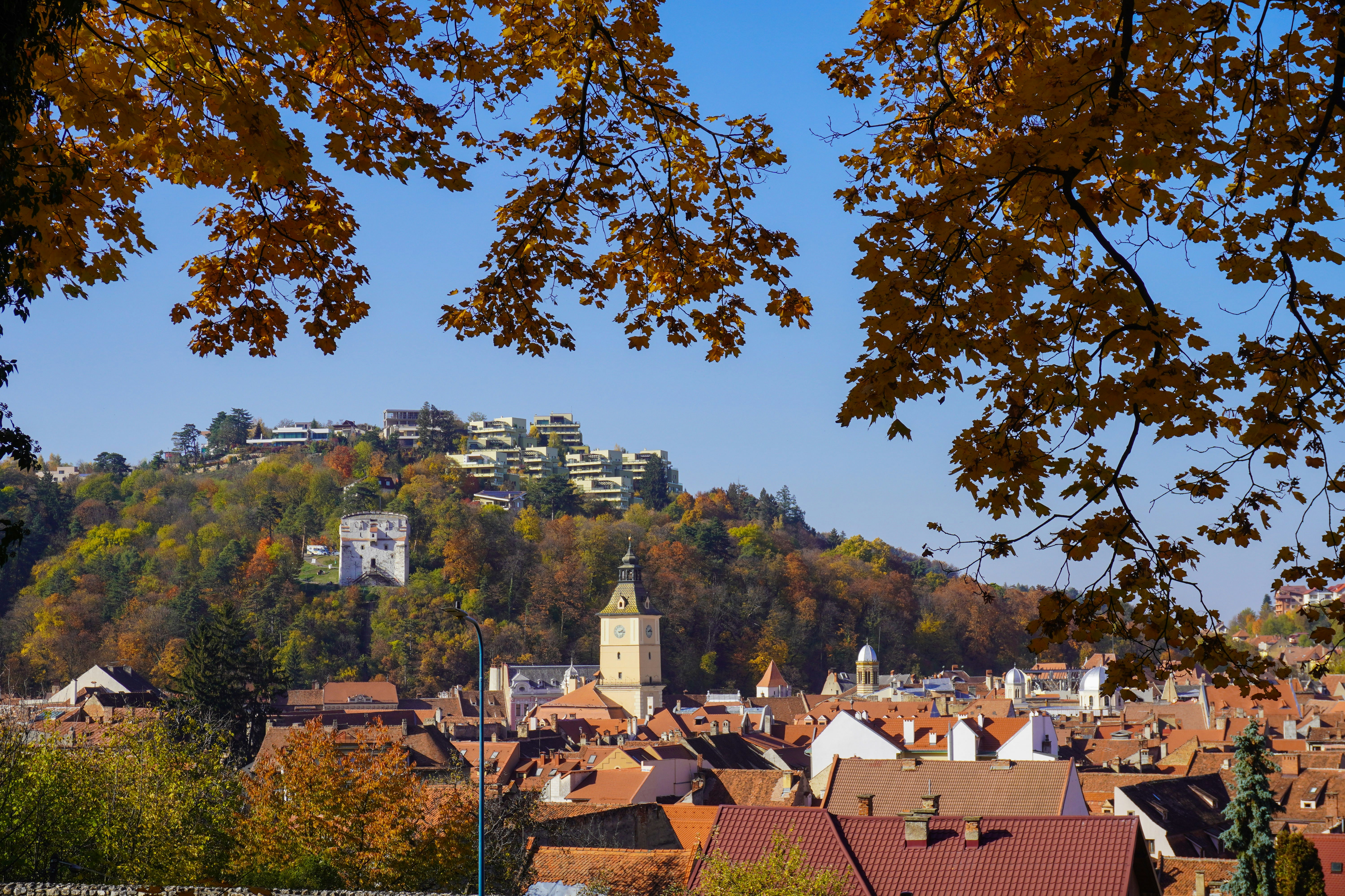 Photo by ioana_roxanna_b