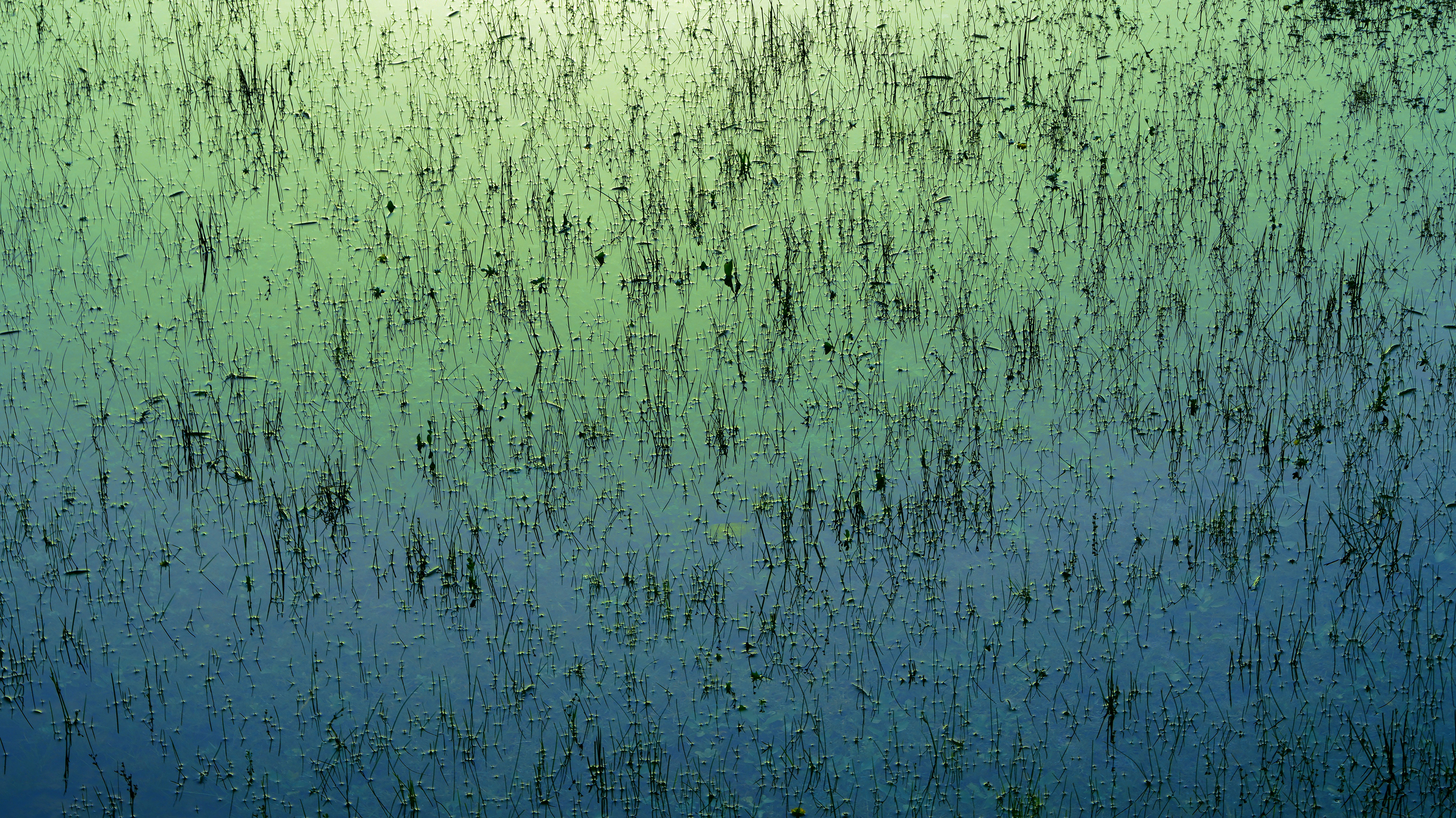 青と緑の背景に中央にライト