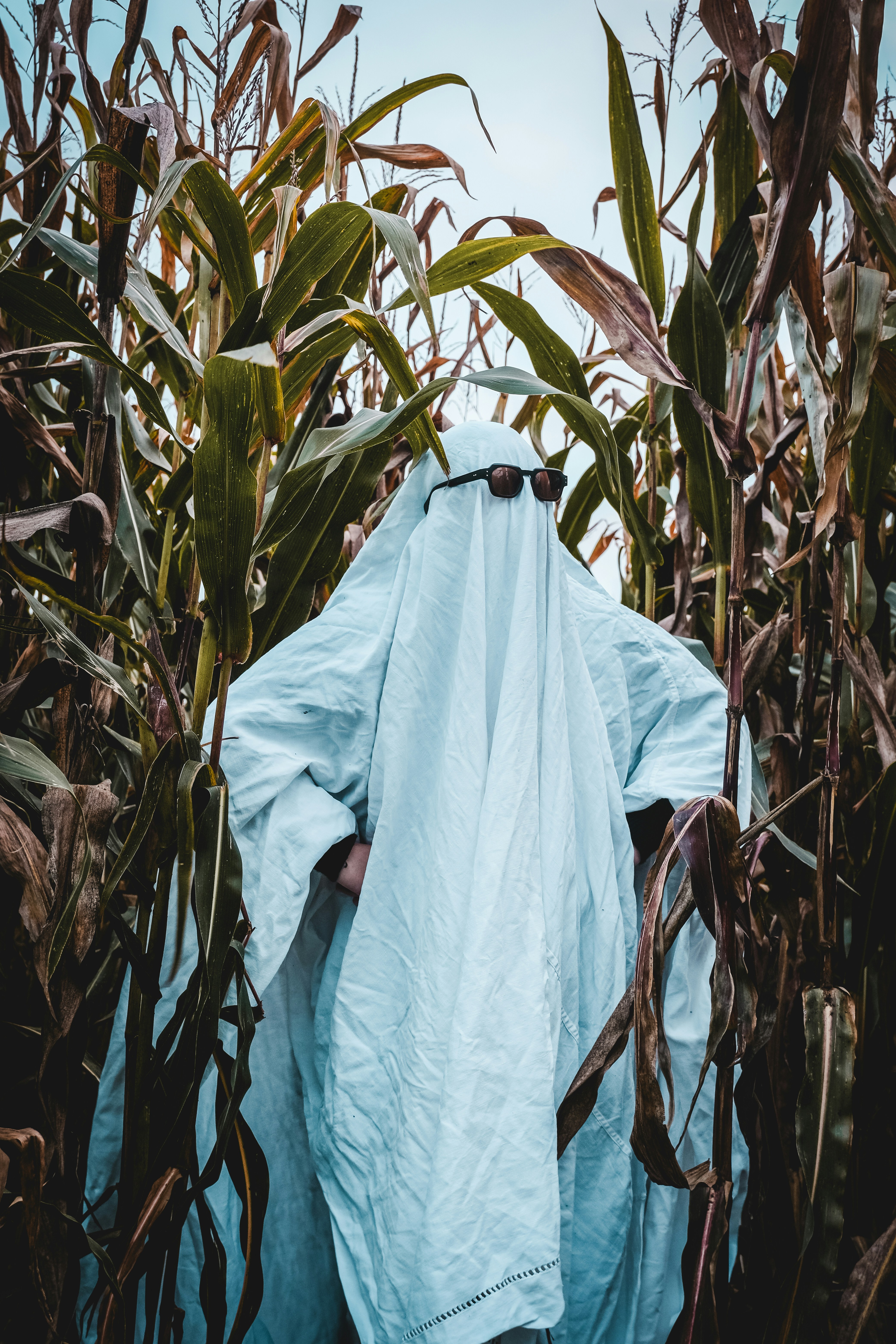 Photo by itsaroadmap