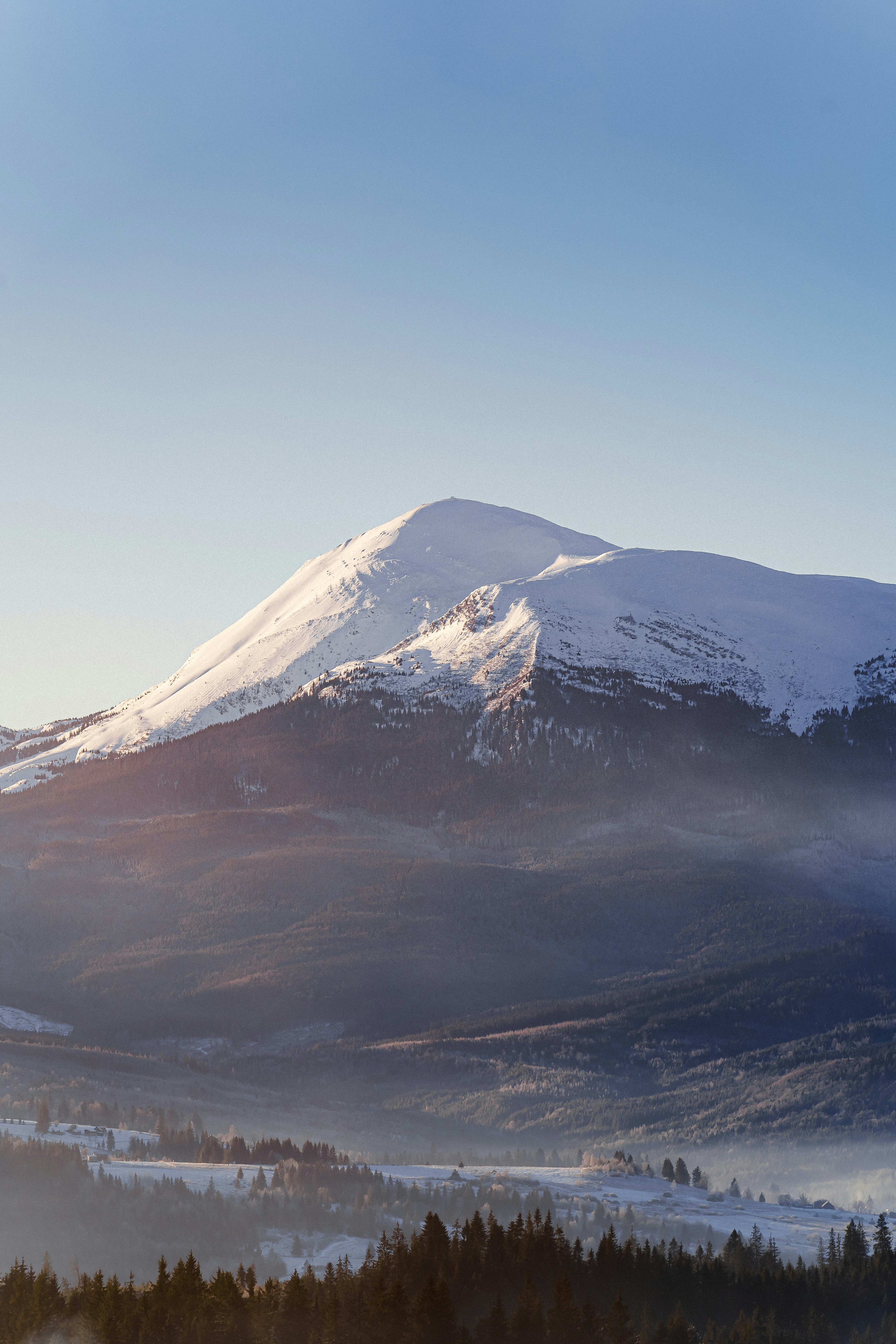 A snow covered mountain with trees in the foreground