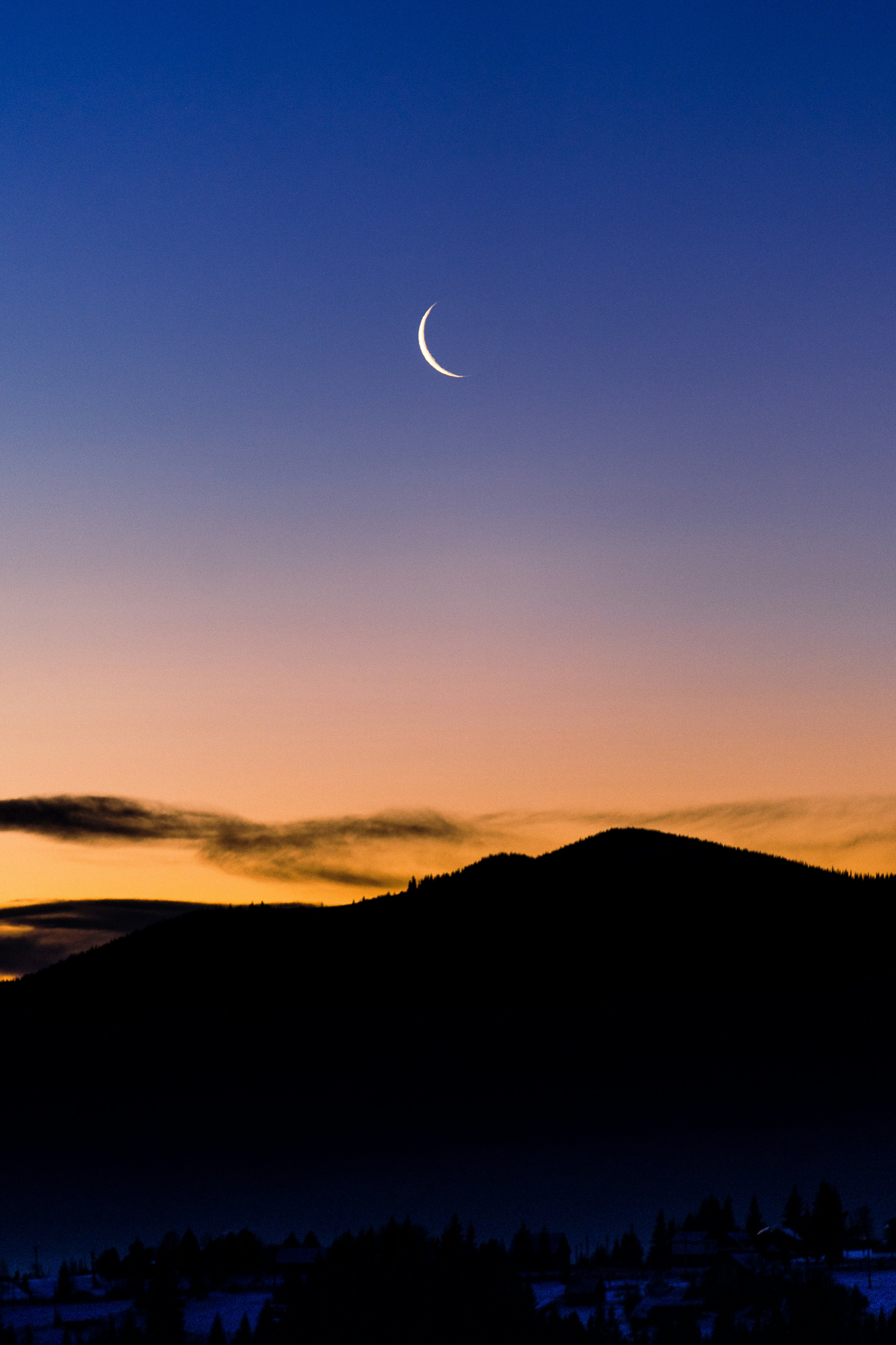 Photo by maksym_tymchyk