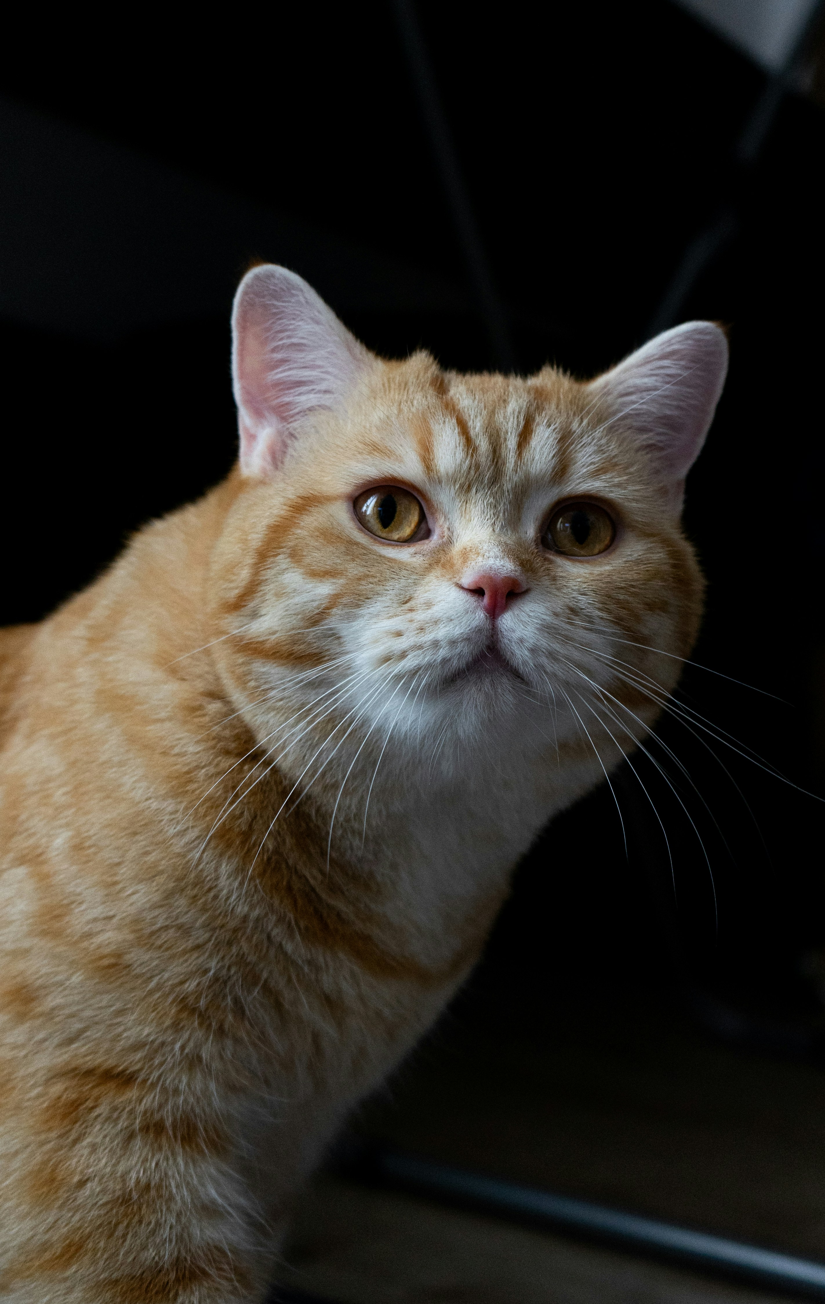 Photo by benjaminmerkle