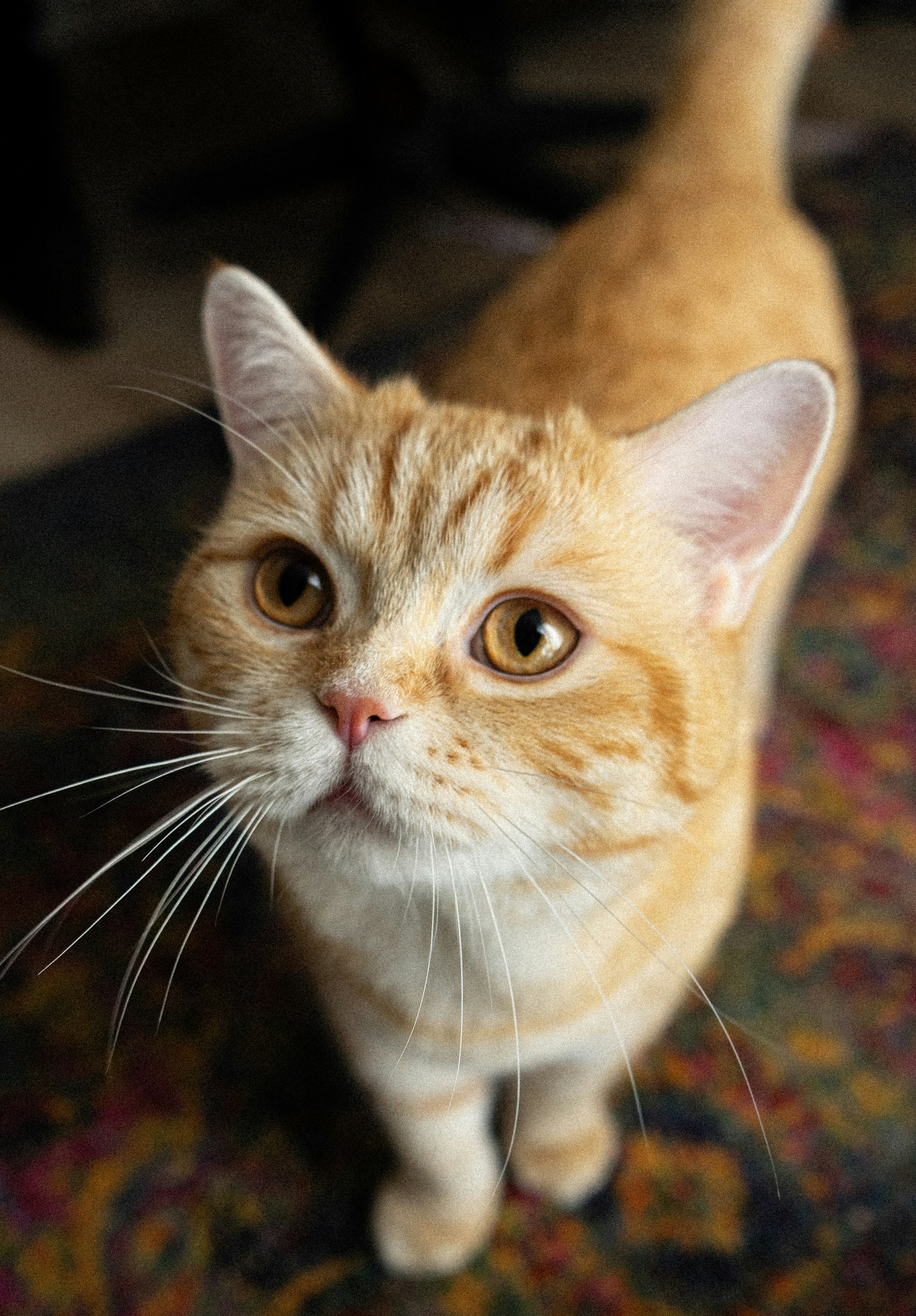 Photo by benjaminmerkle