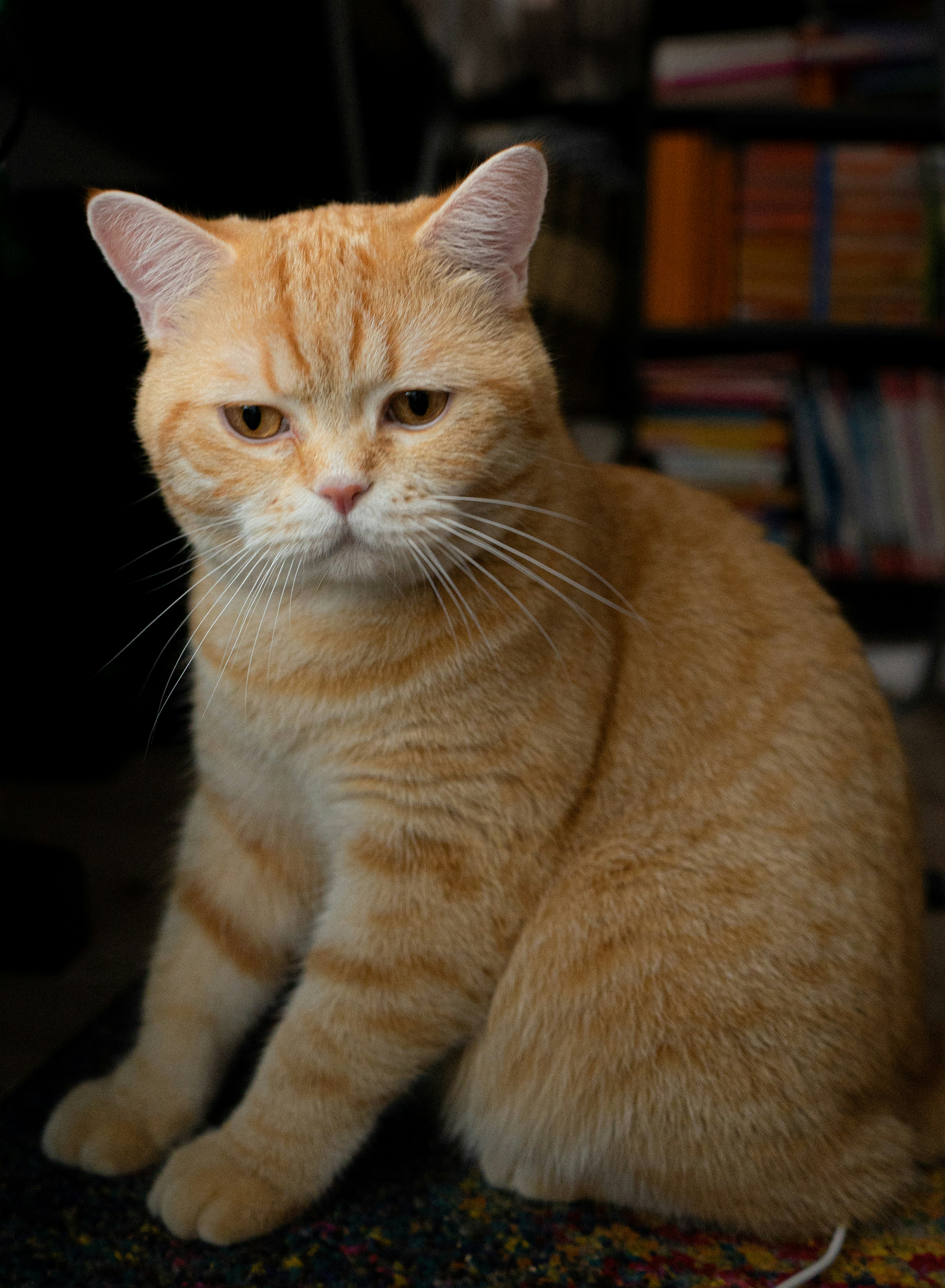 Photo by benjaminmerkle