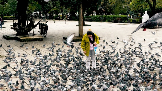 A woman in a yellow jacket surrounded by a flock of birds