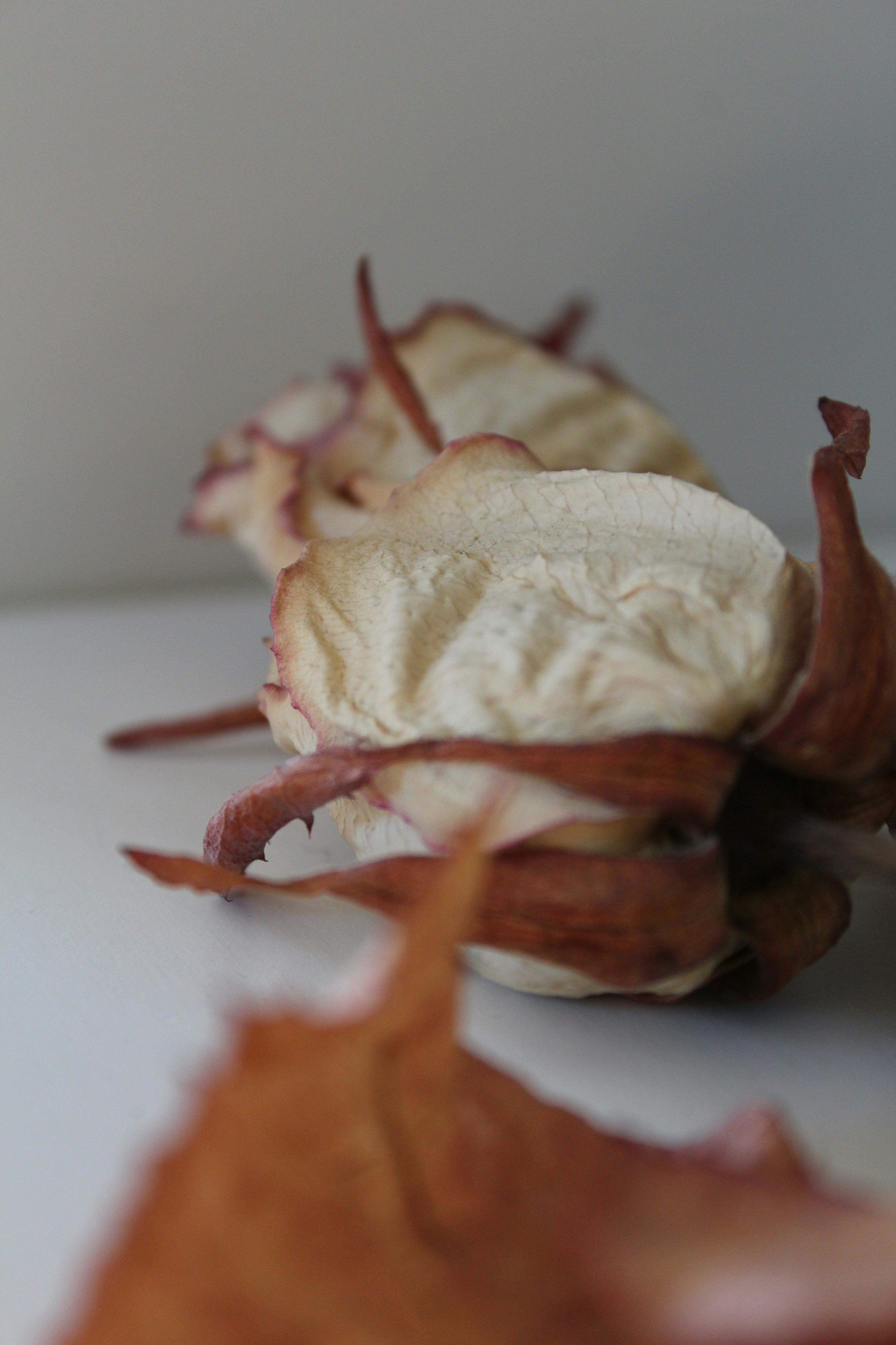 Photo by alys_skowron