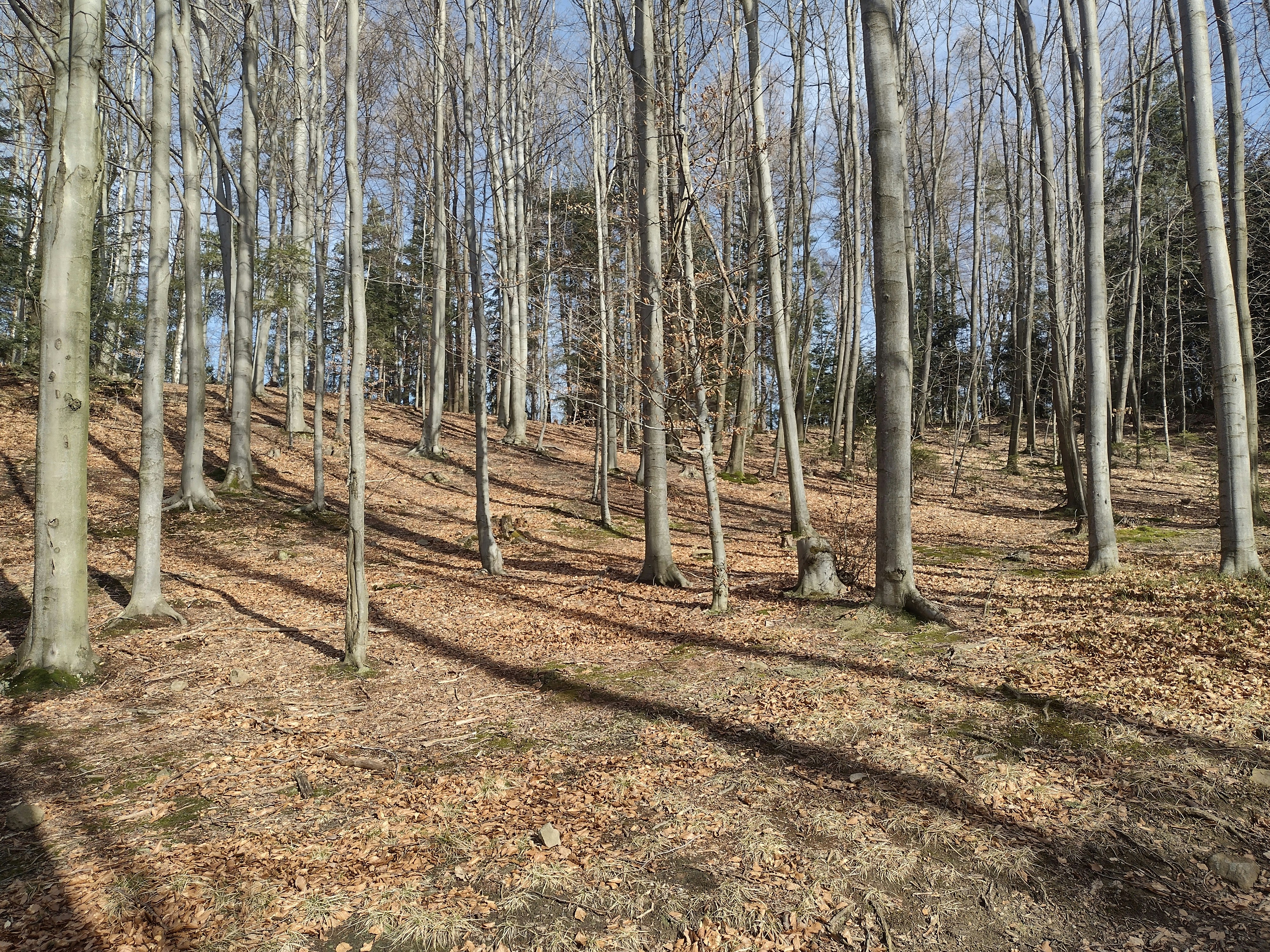 Photo by alys_skowron